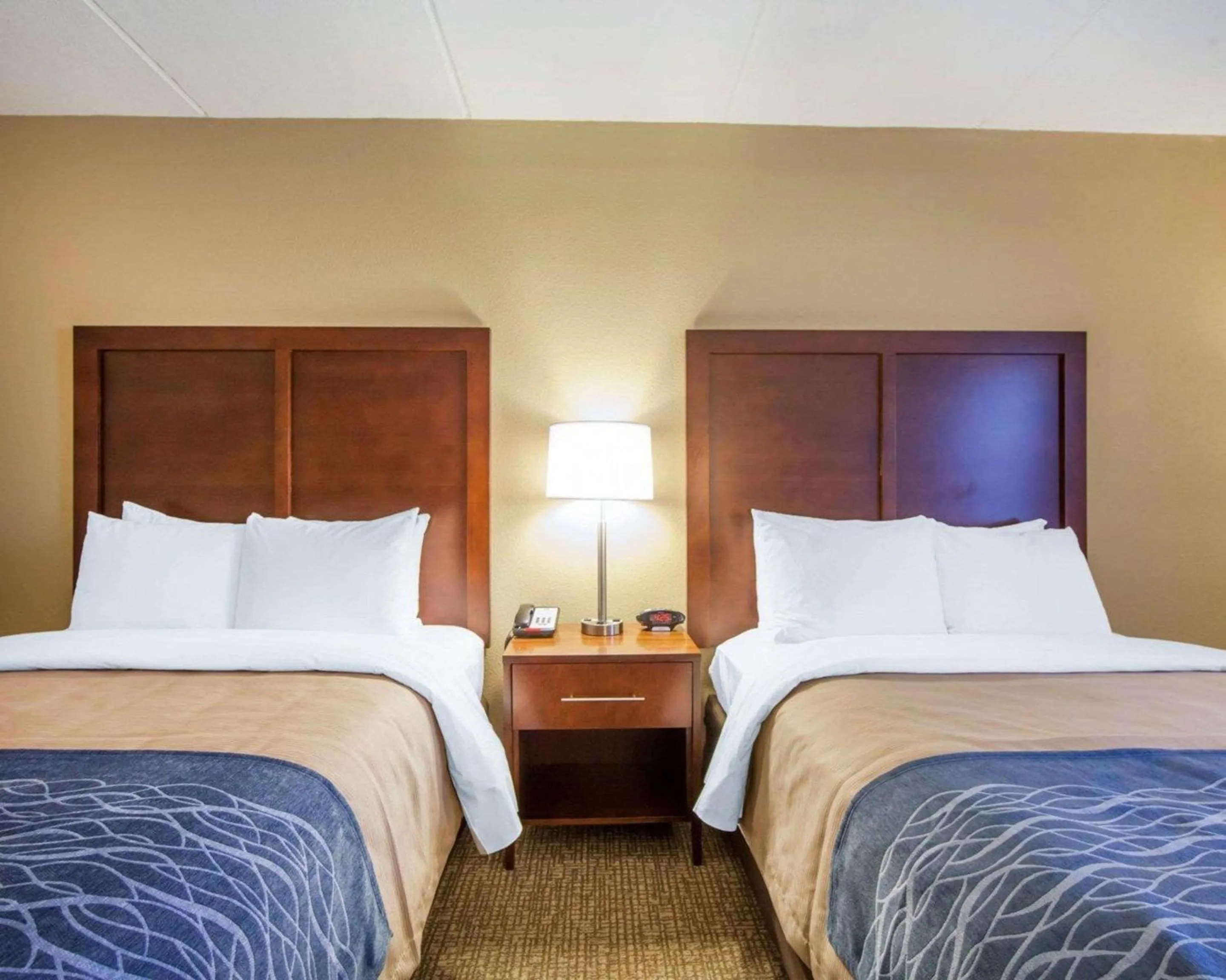 Photo of the whole room, Bed in Comfort Inn at Royal Blue