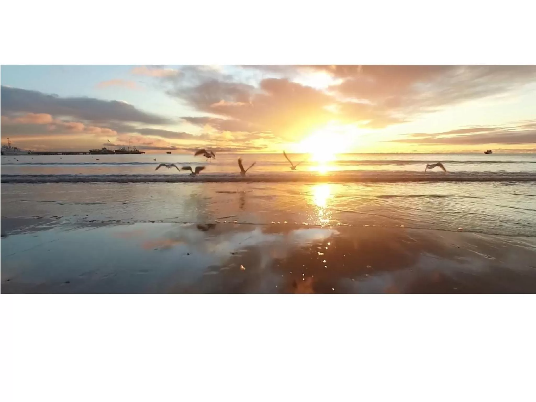 Natural landscape in Hotel Piren