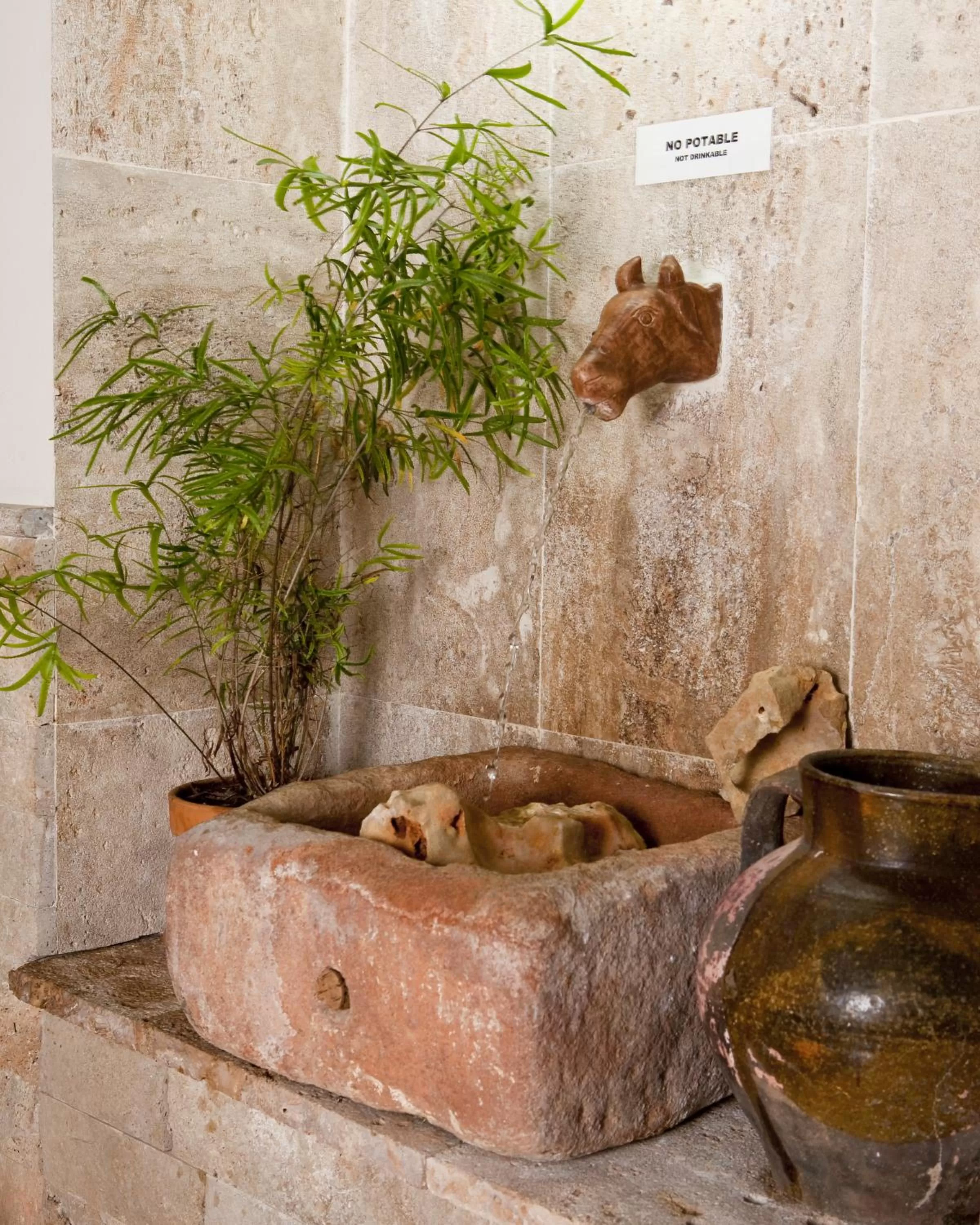 Lobby or reception, Other Animals in Hotel Boutique La Morada de Juan de Vargas