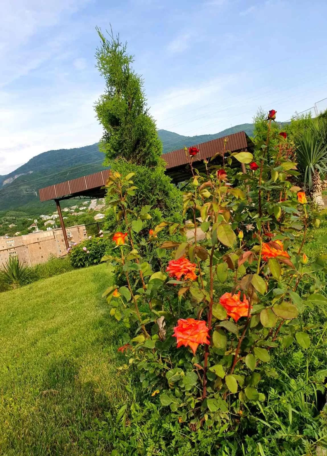 Spring in Guest House Ijevan's Garden