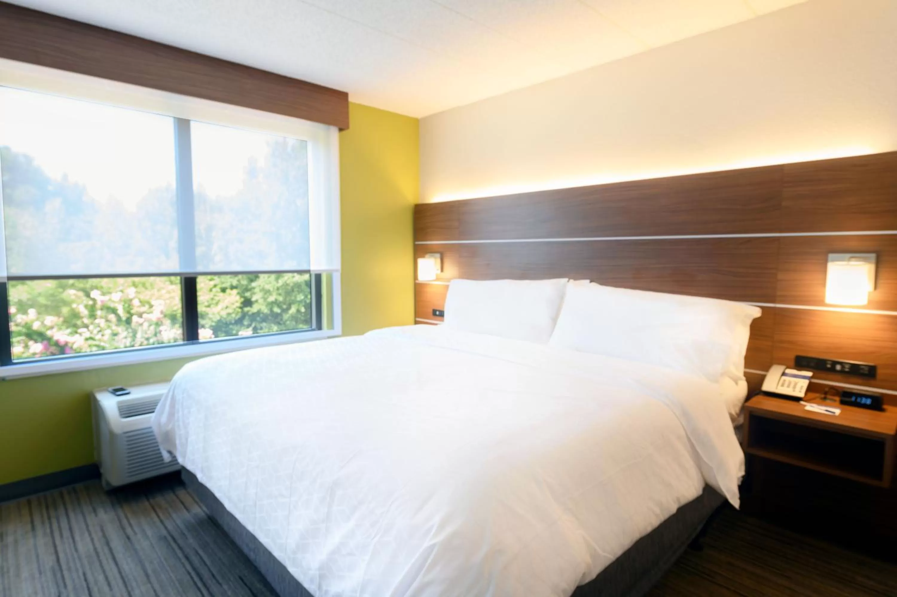 Photo of the whole room, Bed in Holiday Inn Express Richmond Airport by IHG