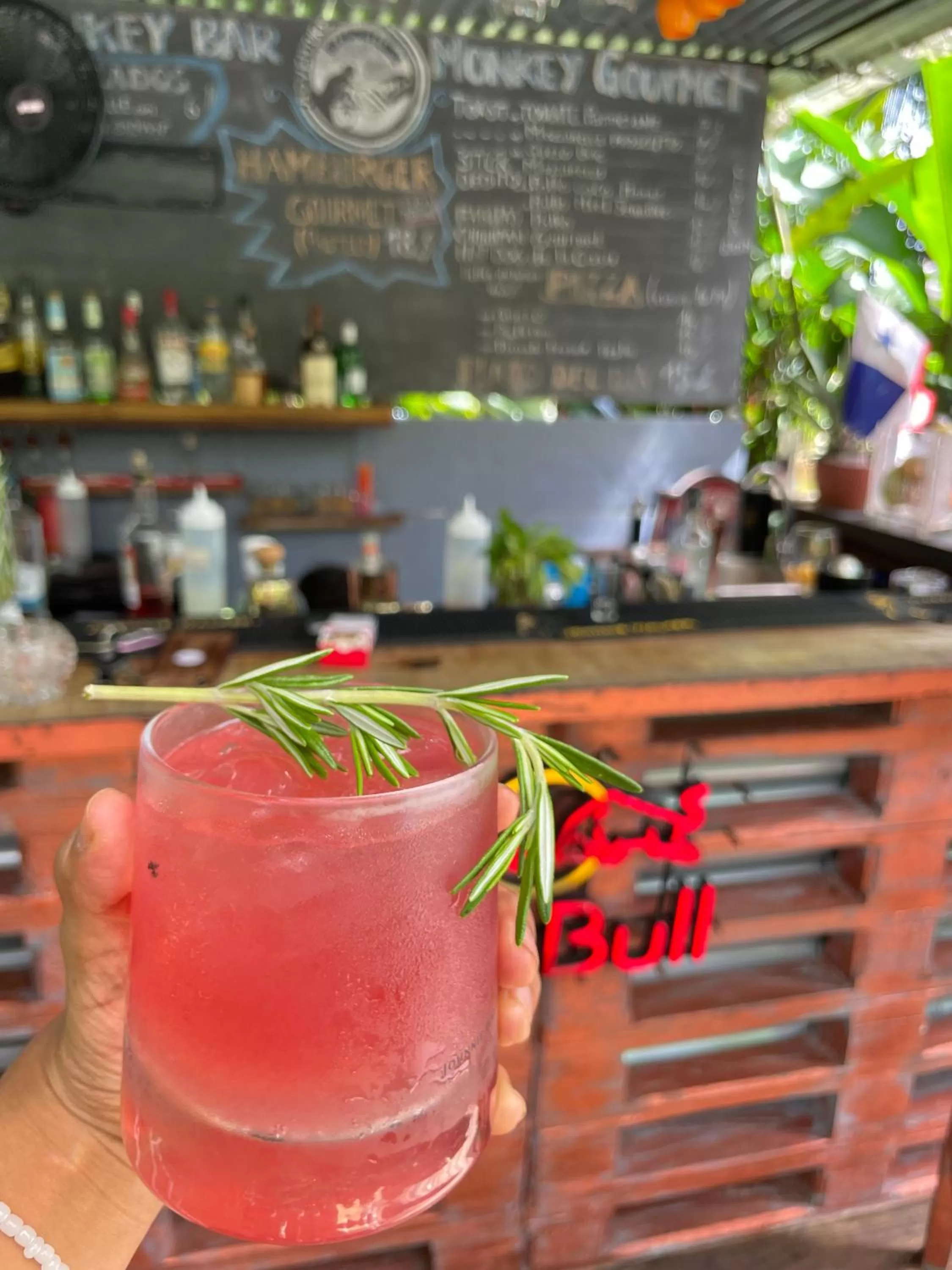 Drinks, Lounge/Bar in Monkey Lodge Panama