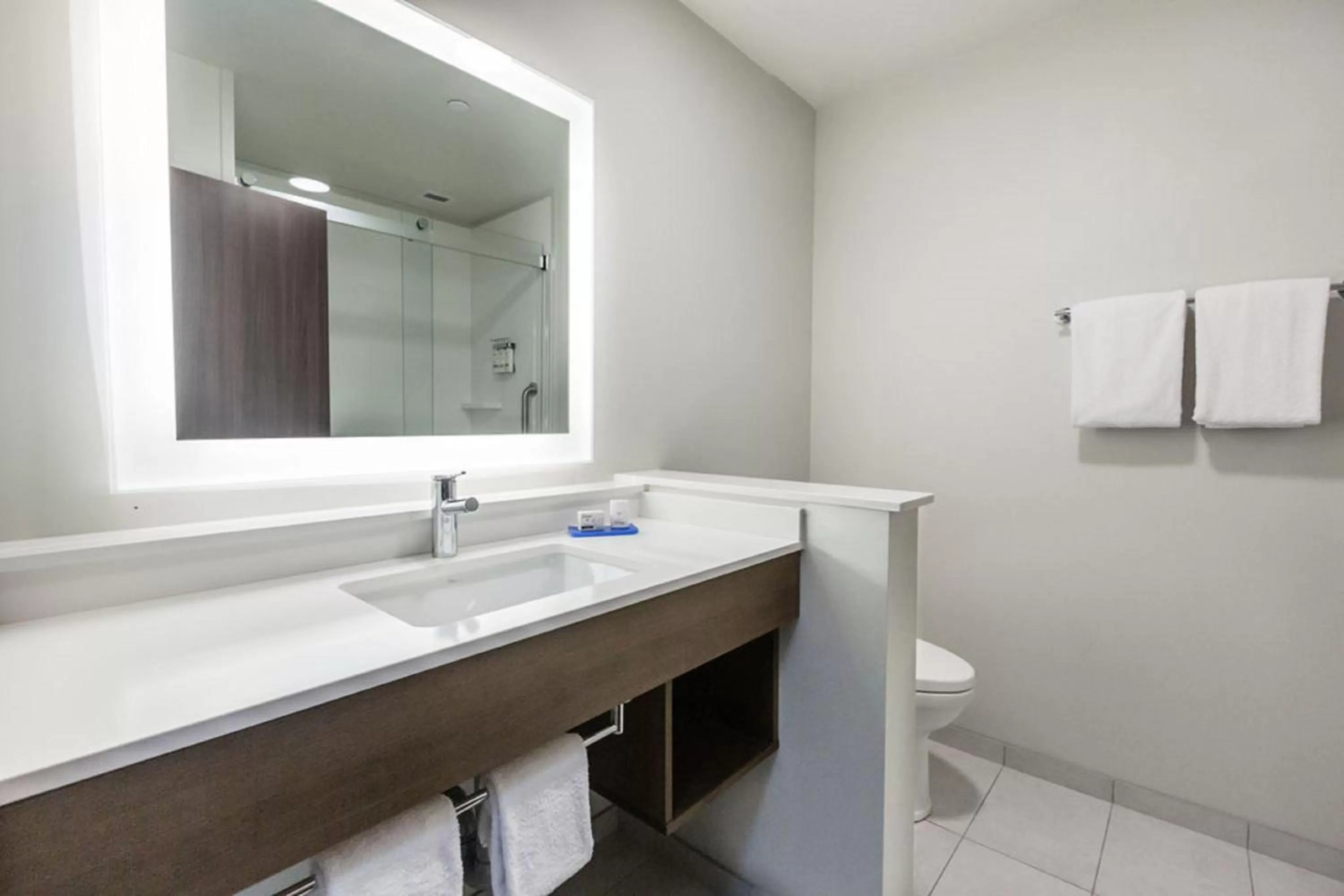 Bathroom in Holiday Inn Express & Suites Edmonton N - St Albert by IHG
