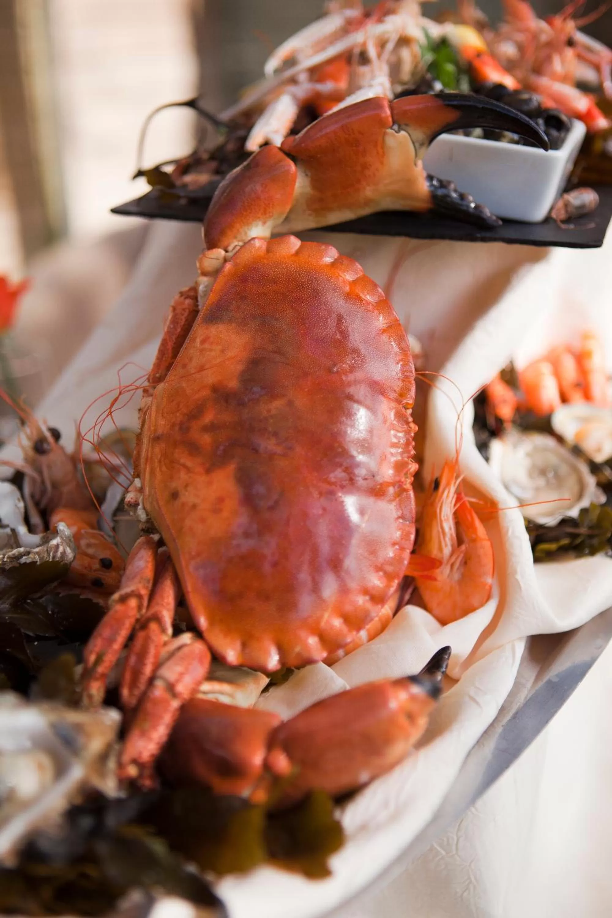 Dinner in Hôtel Ile de Ré
