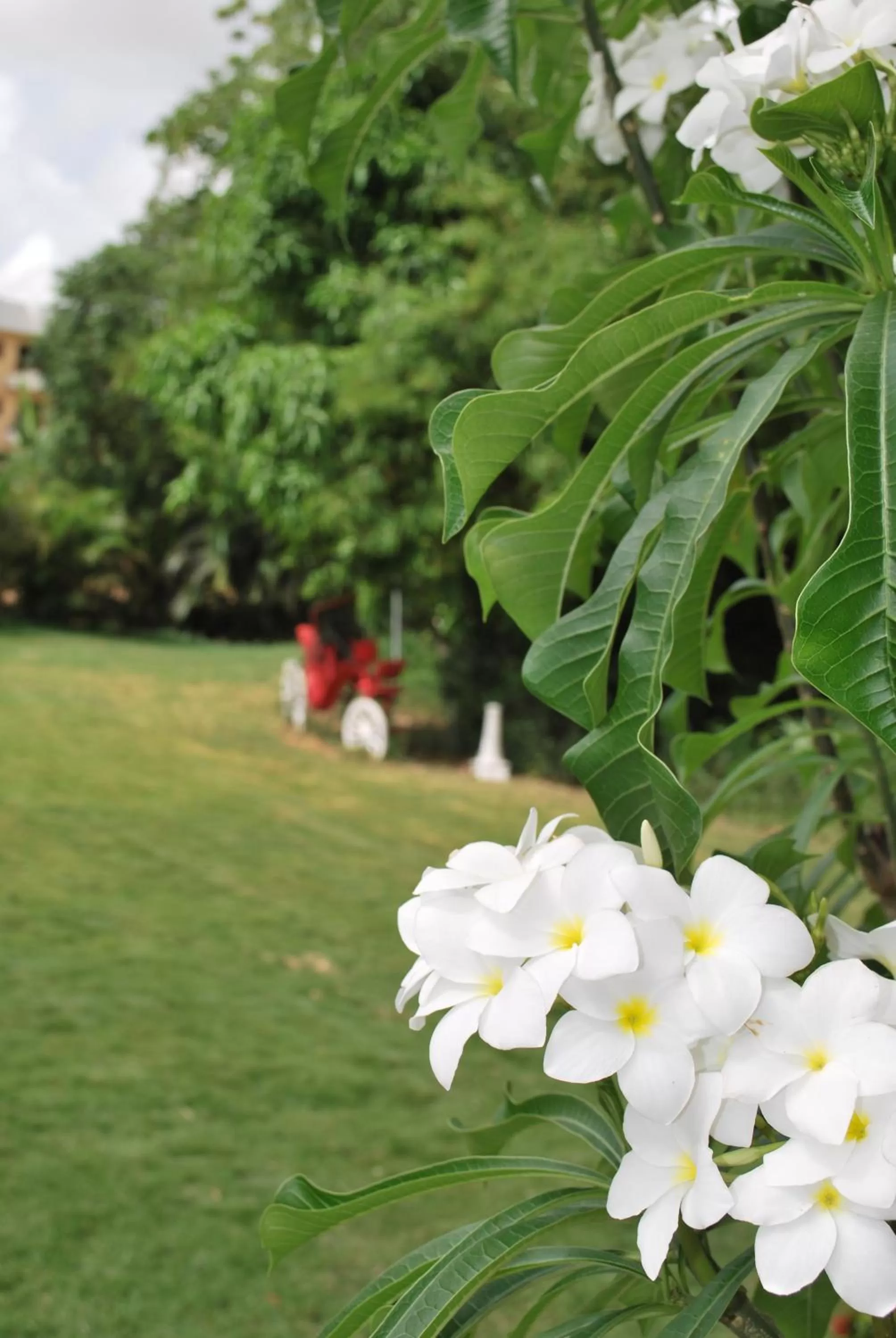 Platino Hotel & Casino