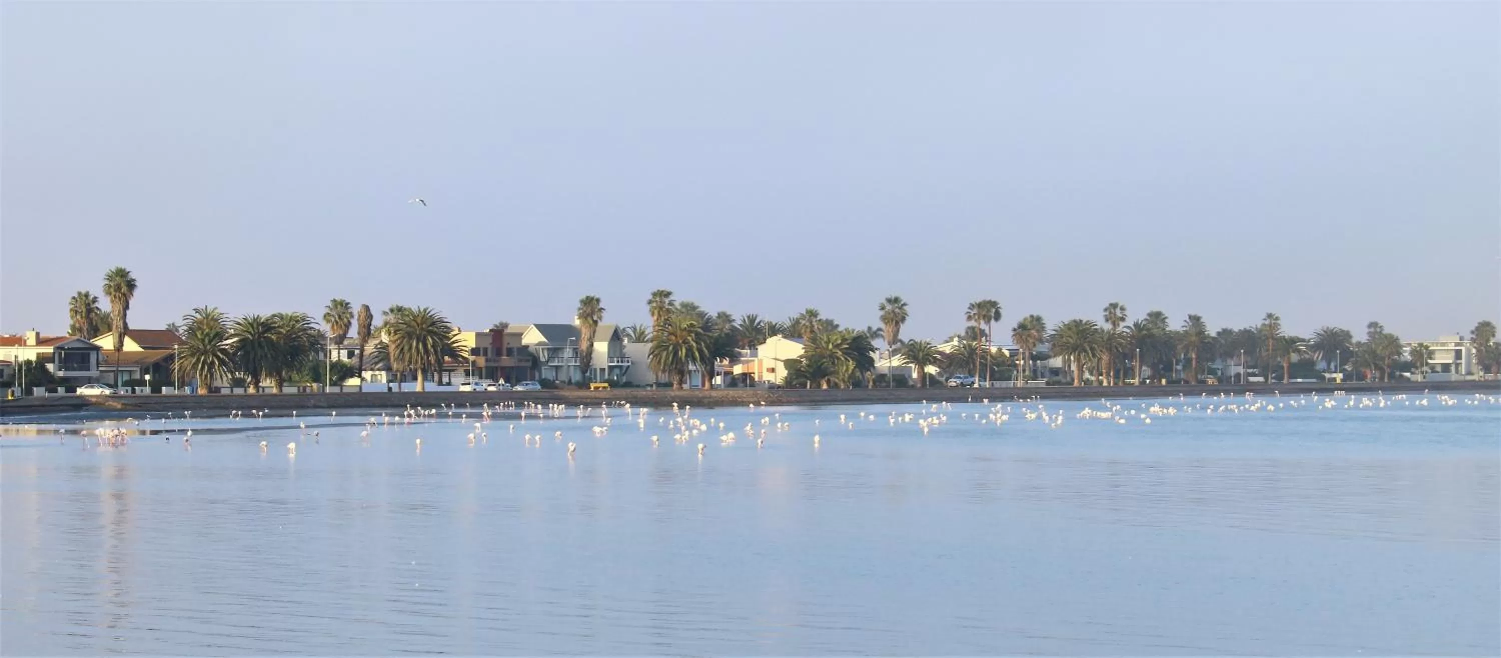 Nearby landmark in Tiende Laan Bed & Breakfast and Self-Catering