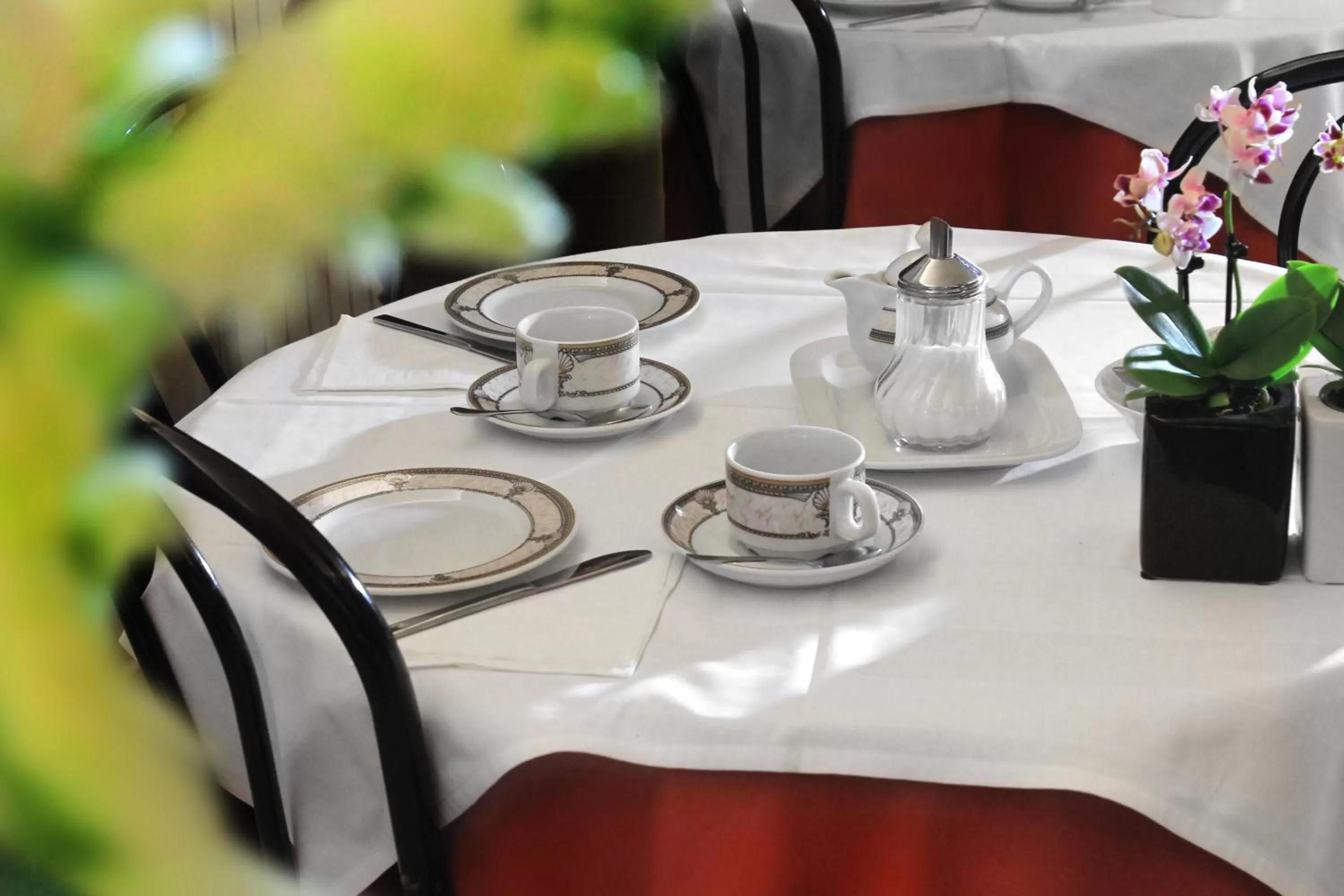 Restaurant/places to eat in Hotel Villa Delle Rose