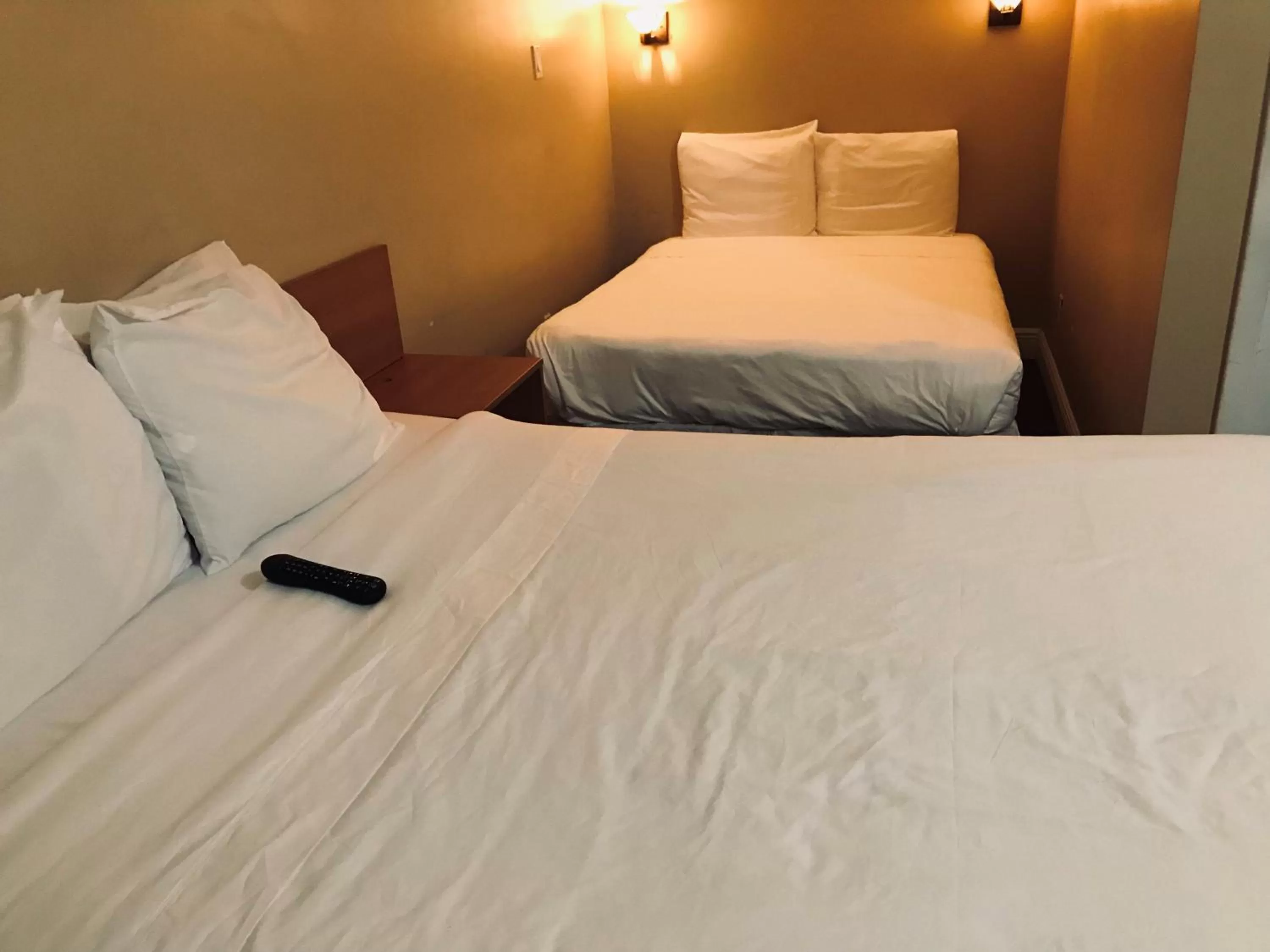 Double Room in Haven Hotel - Fort Lauderdale Hotel