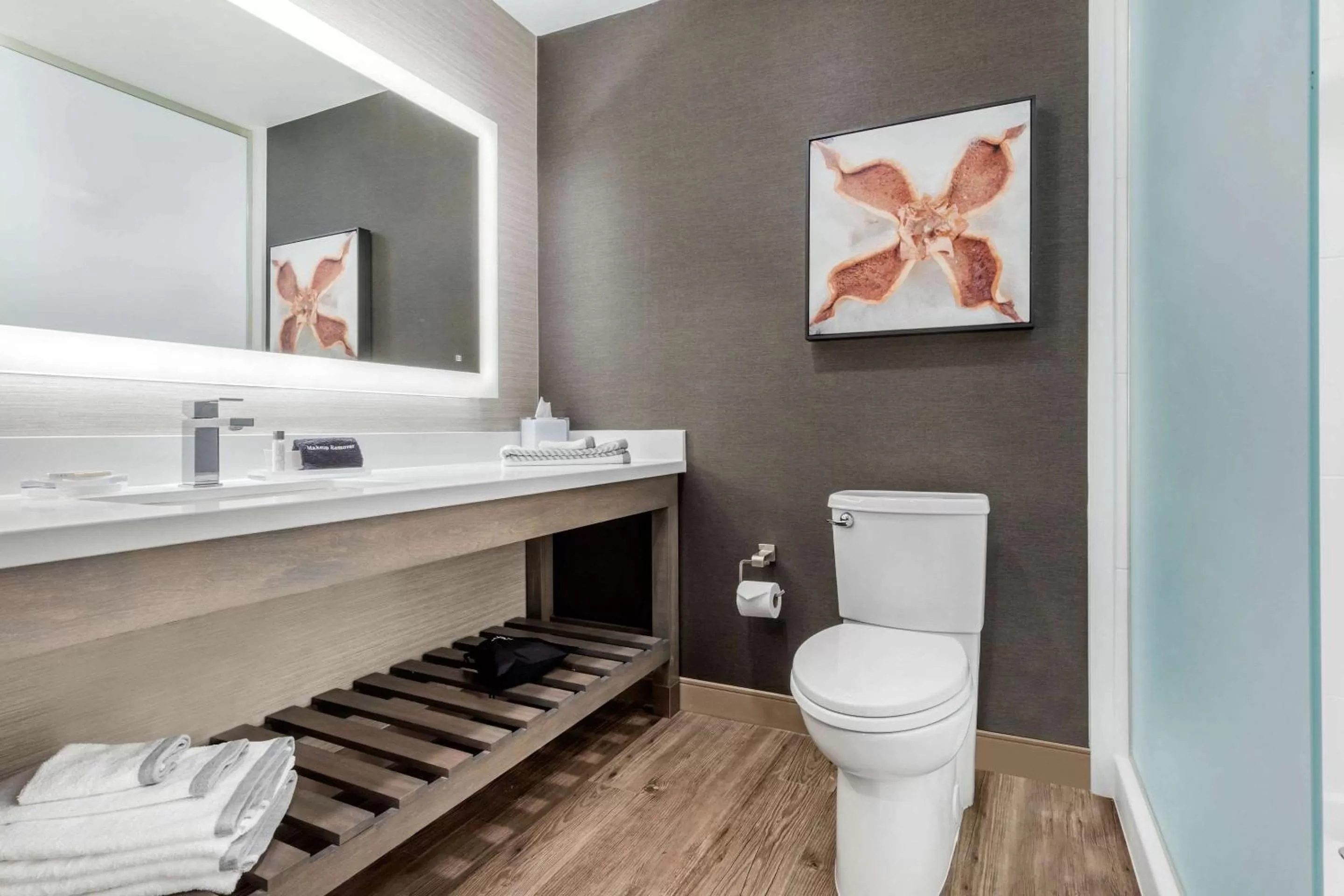 King Suite with Sofa Bed - Non-Smoking in Cambria Hotel Greenville