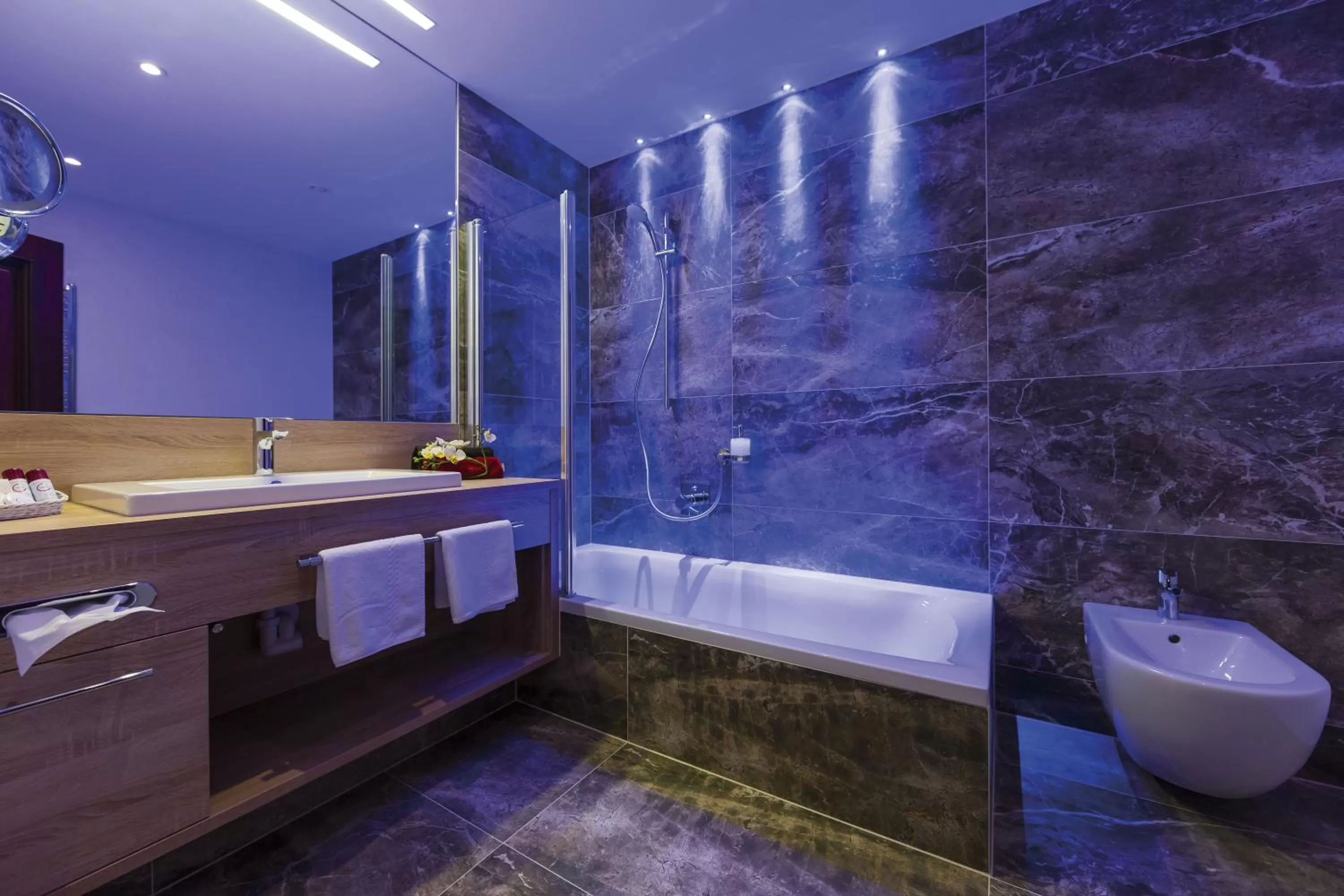 Shower, Bathroom in Natur & Spa Resort "Der Alpbacherhof" Superior