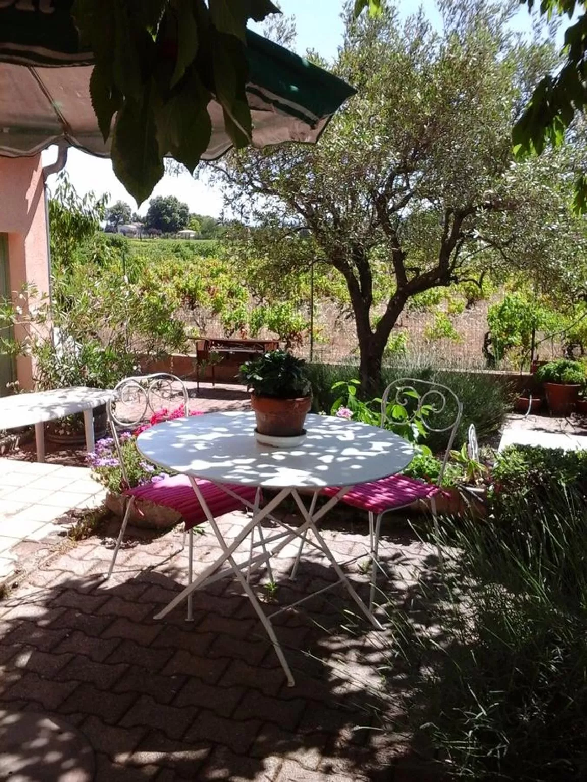 BBQ facilities in Vents d'Anges