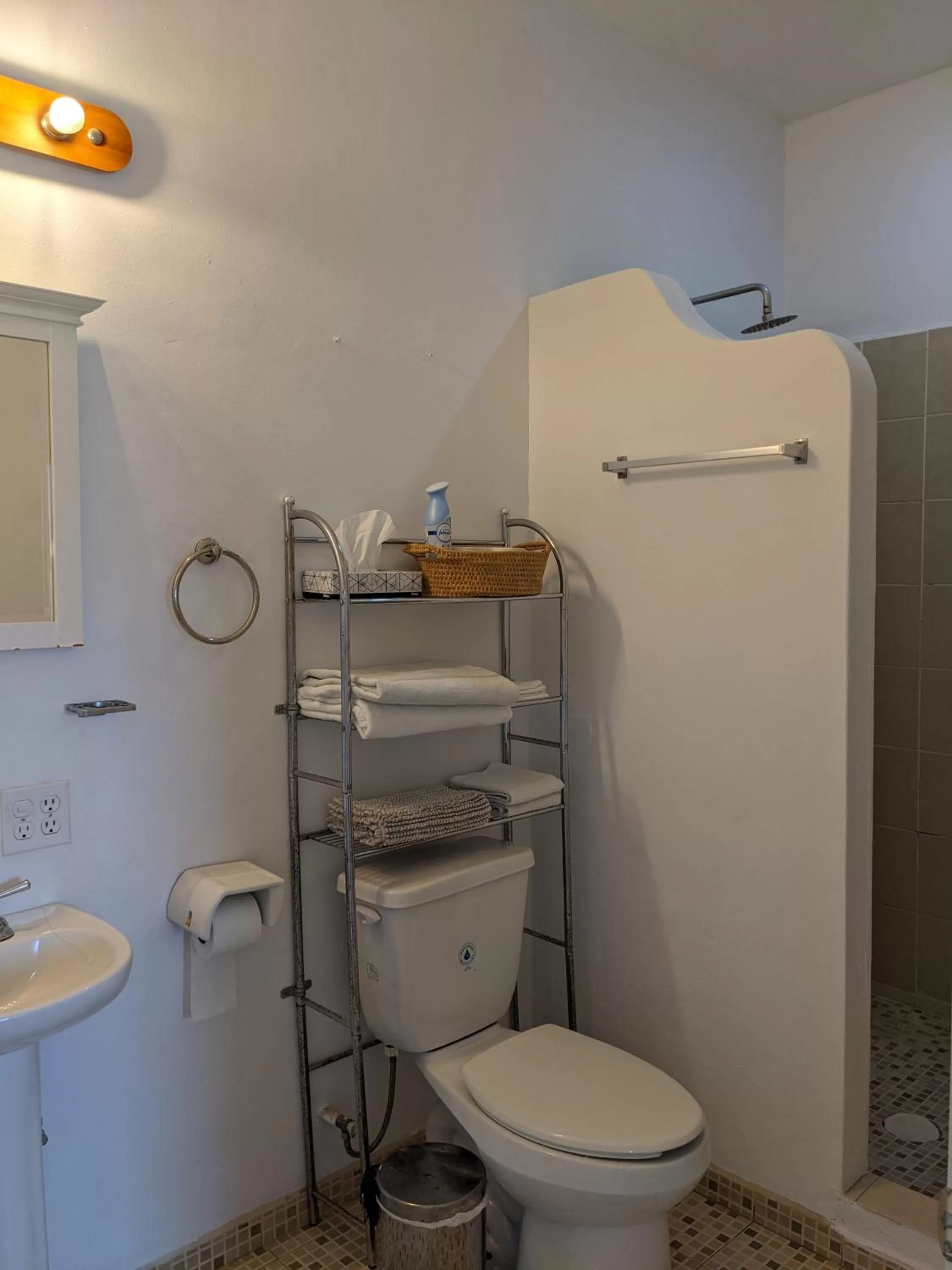 Toilet in Hacienda De Palmas