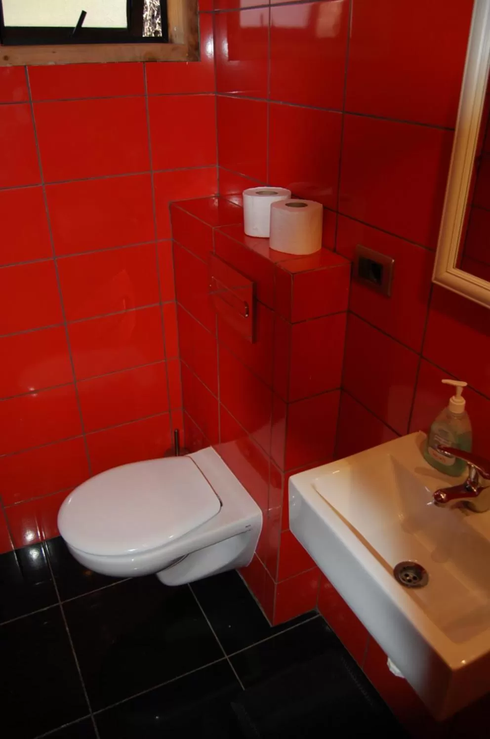 Toilet, Bathroom in French Andes Apart Hostel