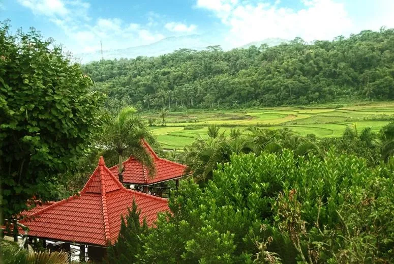 Mountain view in Puri Asri Hotel & Resort