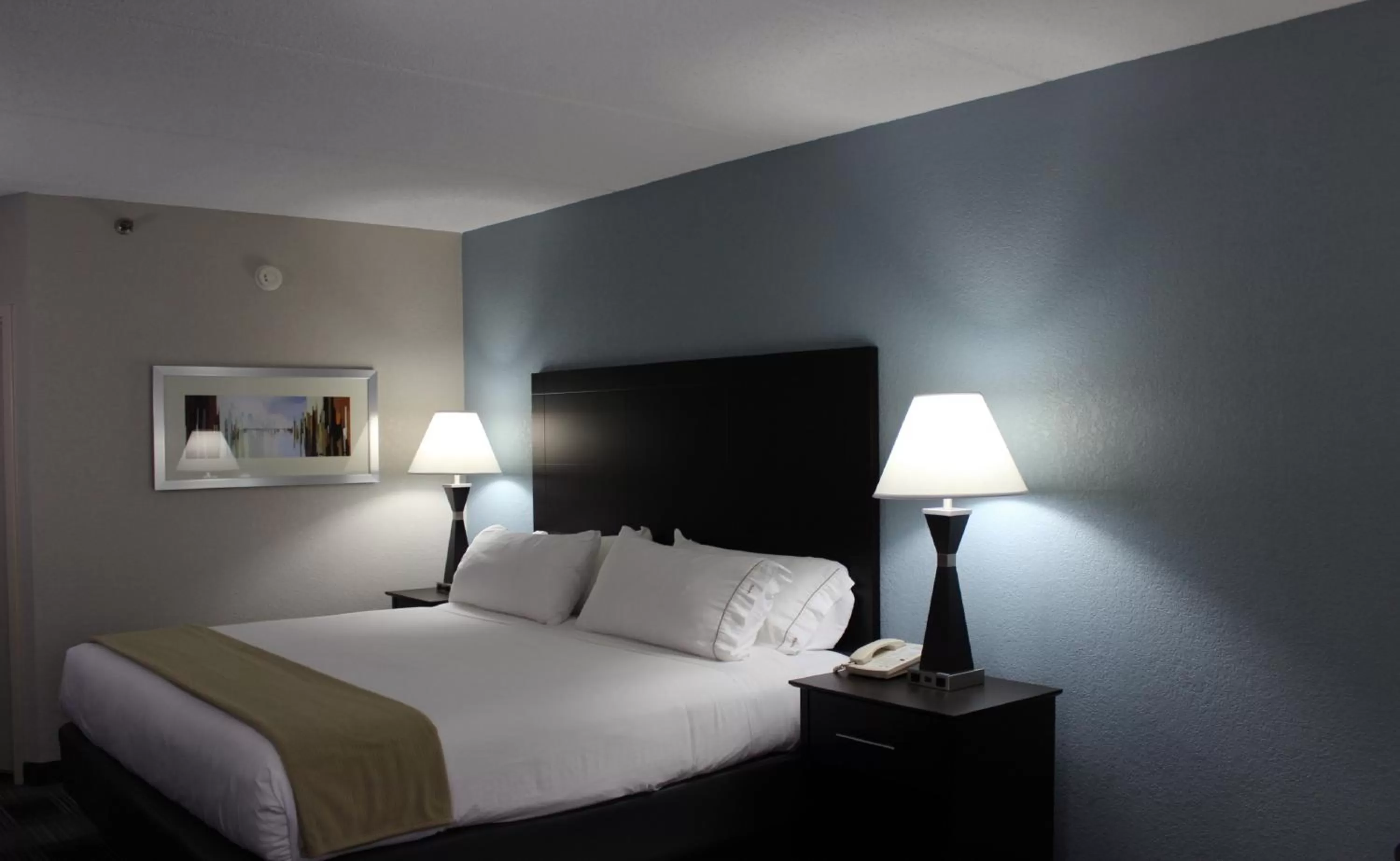 Decorative detail, Bed in Holiday Inn Express Forsyth by IHG