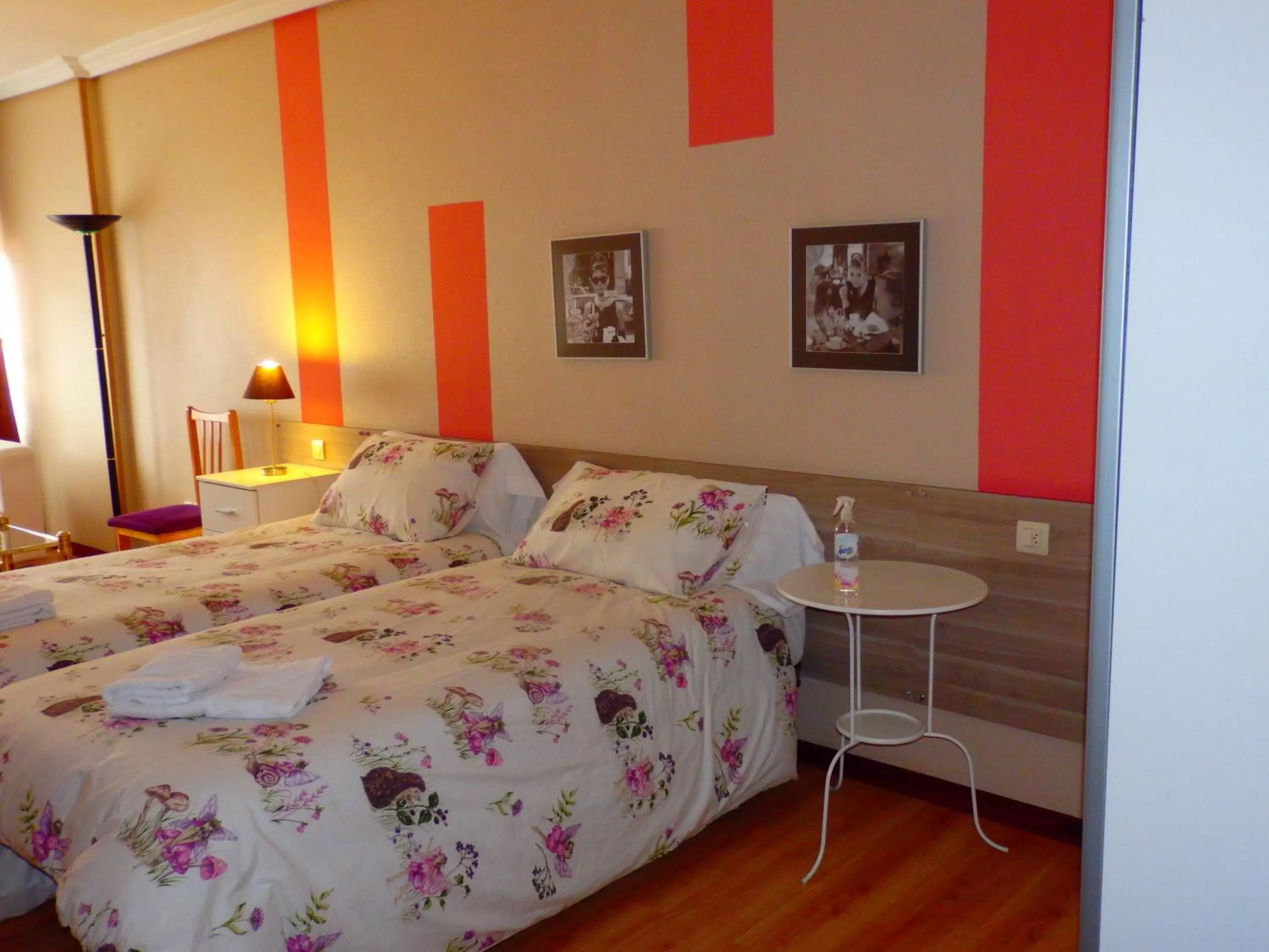 Twin Room with Shared Bathroom - single occupancy in Alojamientos Iruña