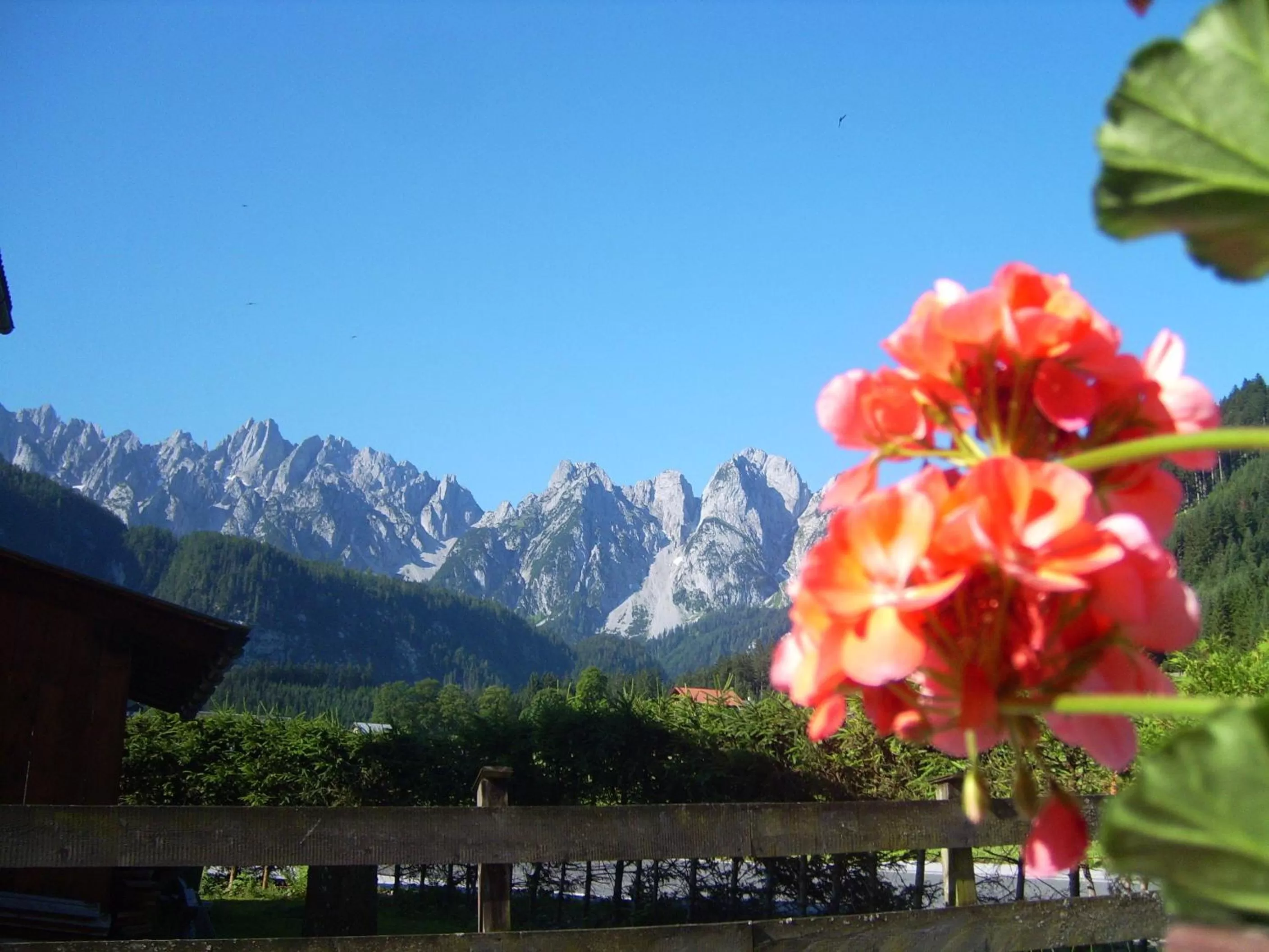 BBQ facilities in Privatpension Gosaukammblick