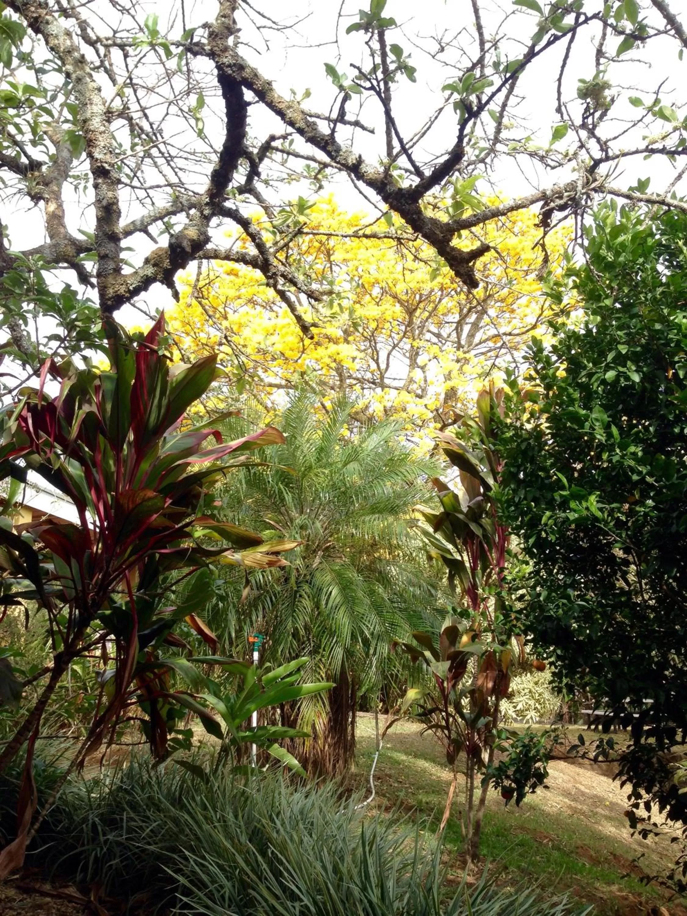 Day in ApartHotel Villa Pacande & Rooms