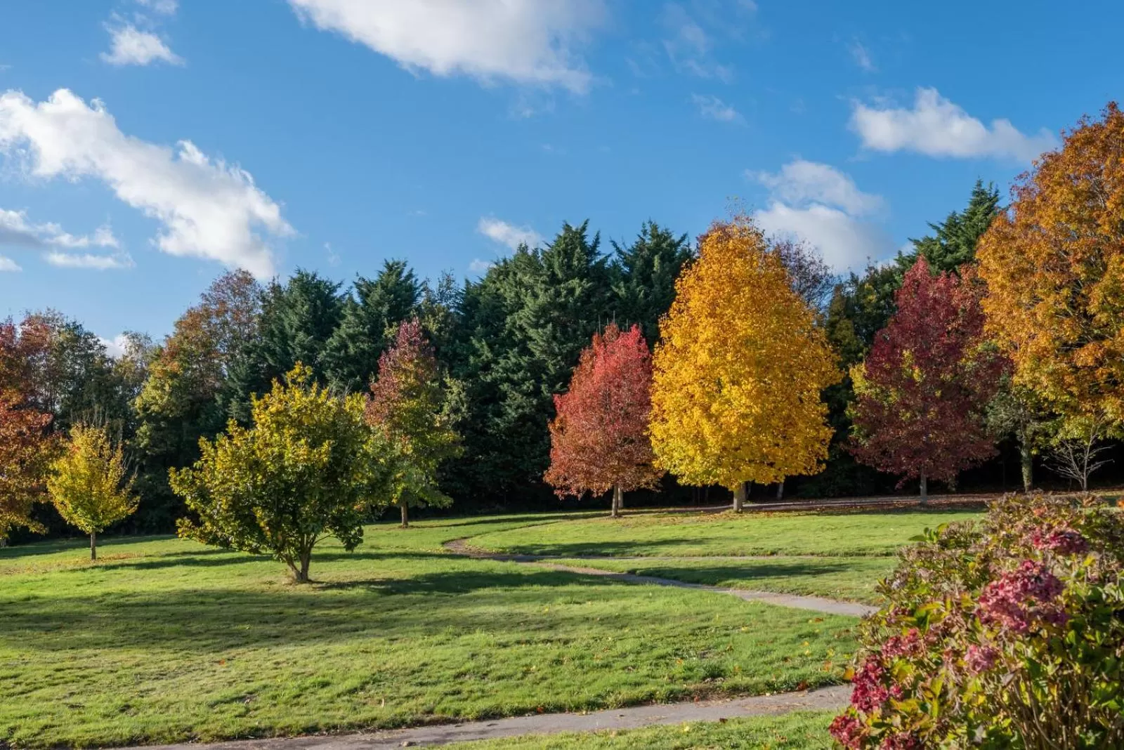 Natural landscape in La Villa des Golf.e.s