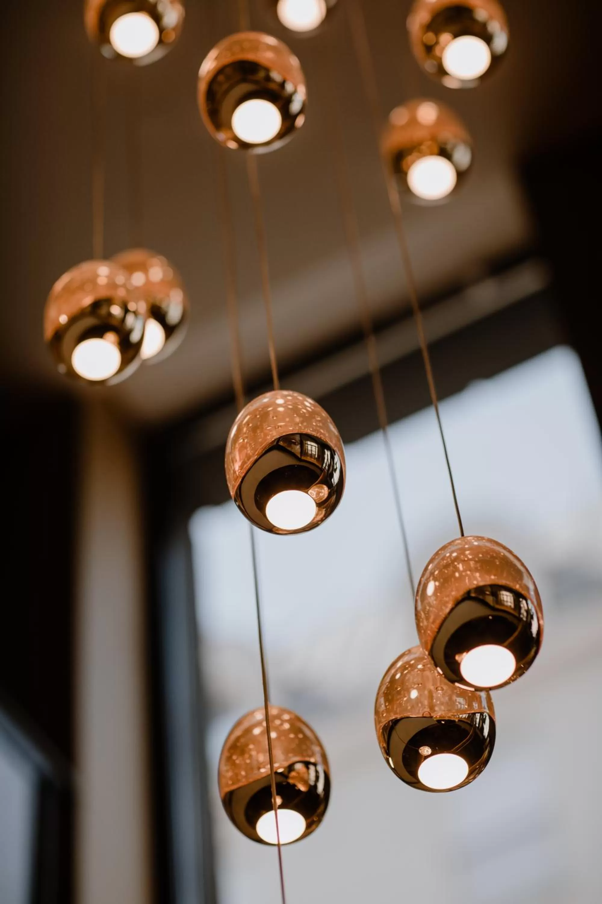 Living room in Prince Albert Lyon Bercy