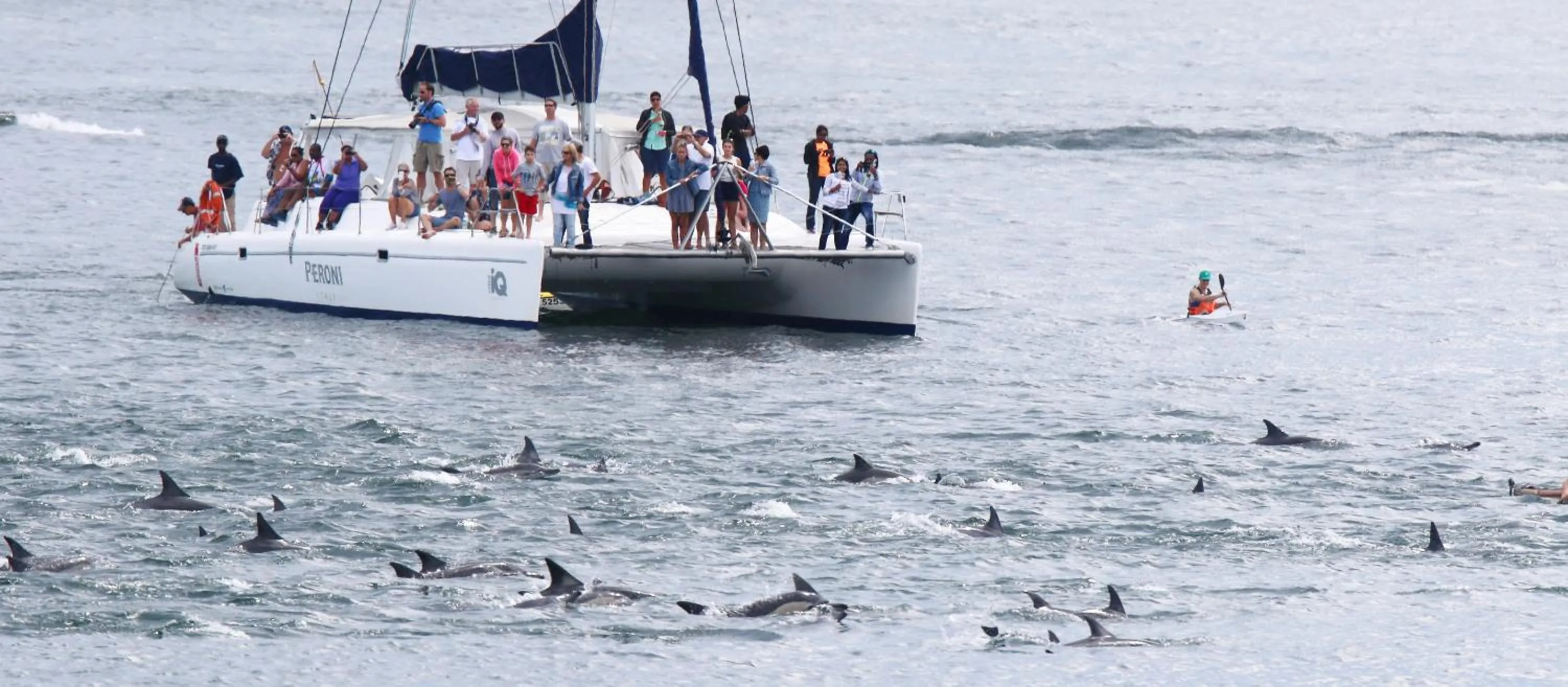 Off site in Dolphin Inn Guesthouse