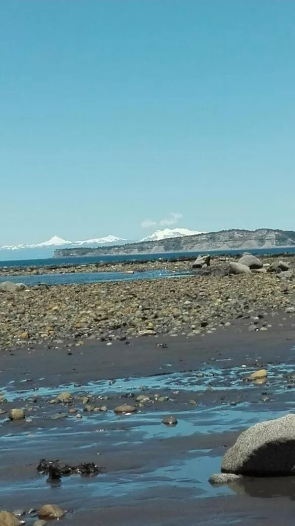 Animals in El Coo Lodge