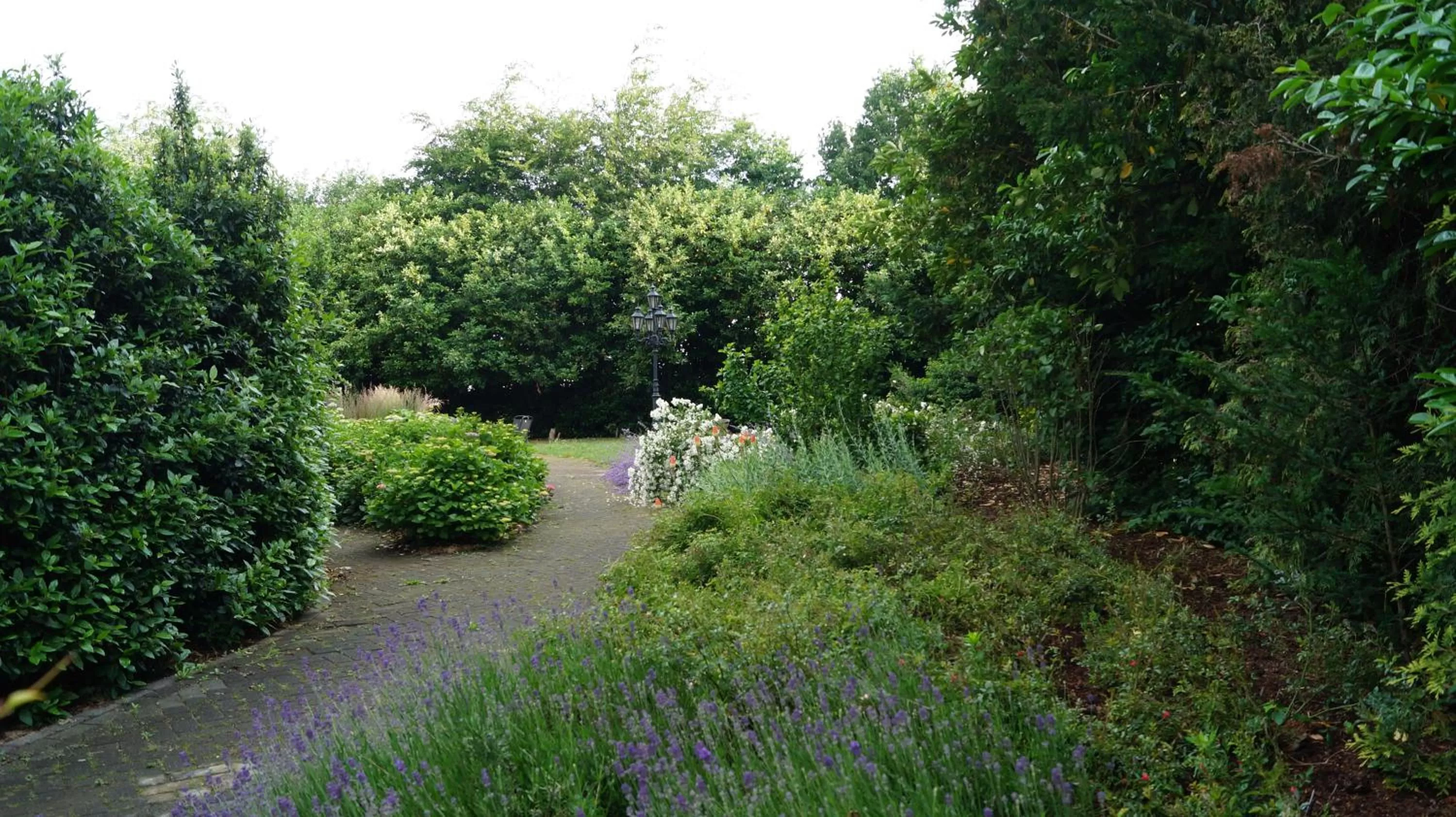 Natural landscape, Garden in B&B Johannes-Hoeve
