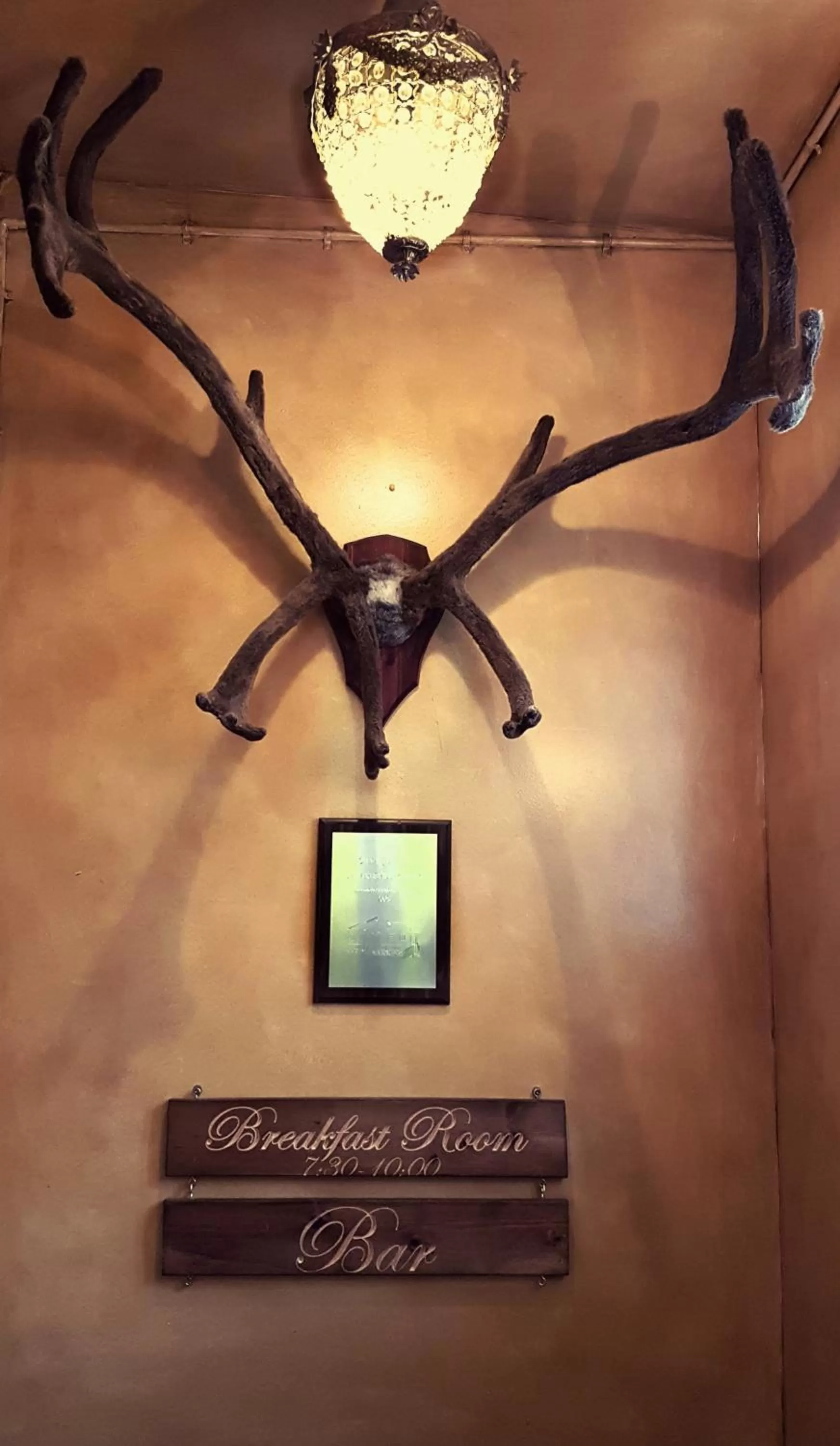 Restaurant/places to eat in Hótel Tindastóll