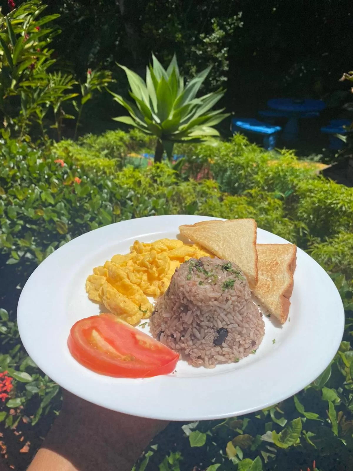 Breakfast in Brillasol Airport Hotel