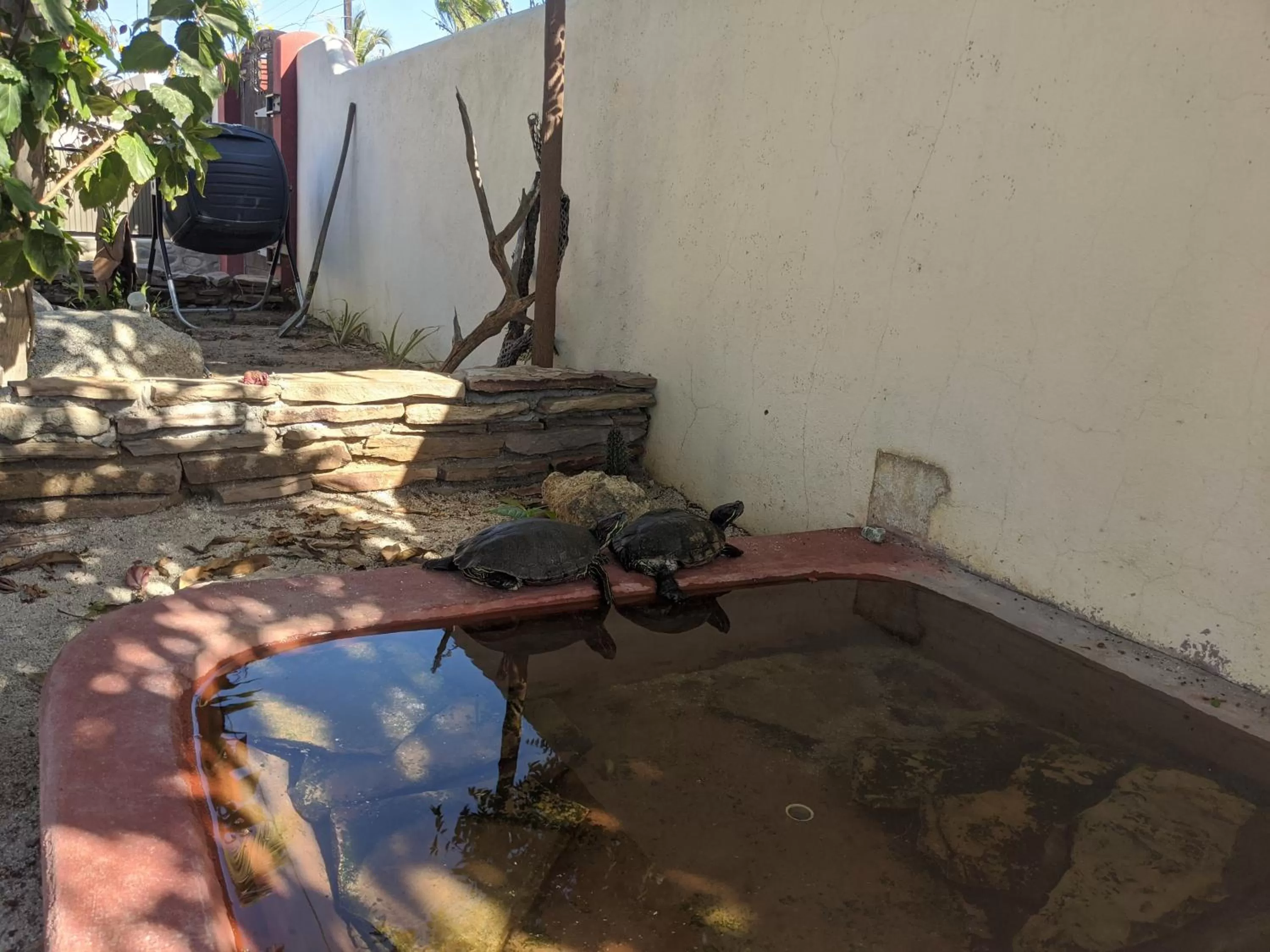 Pets in Hacienda De Palmas