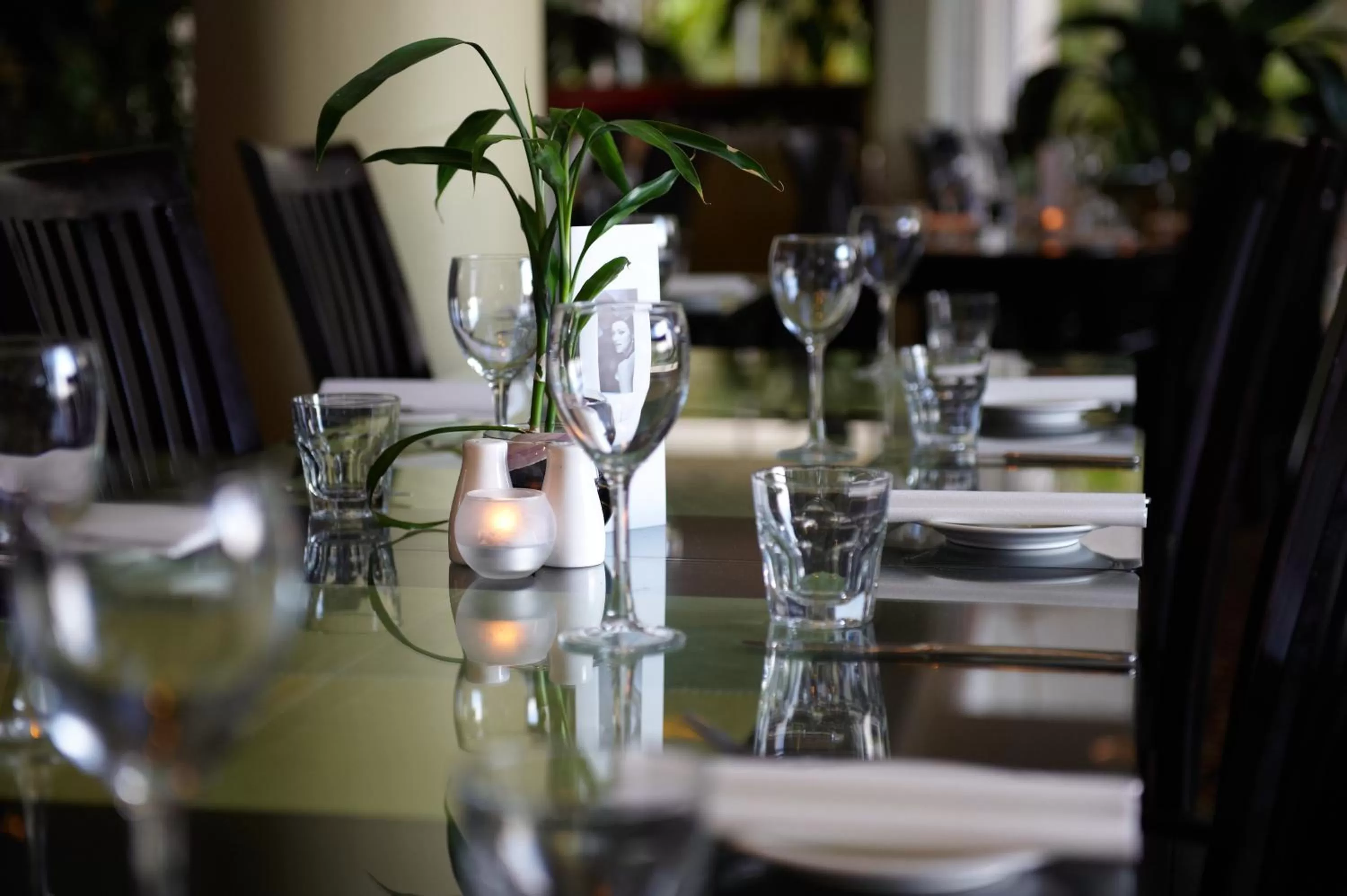 Restaurant/places to eat in Absolute Beachfront Opal Cove Resort