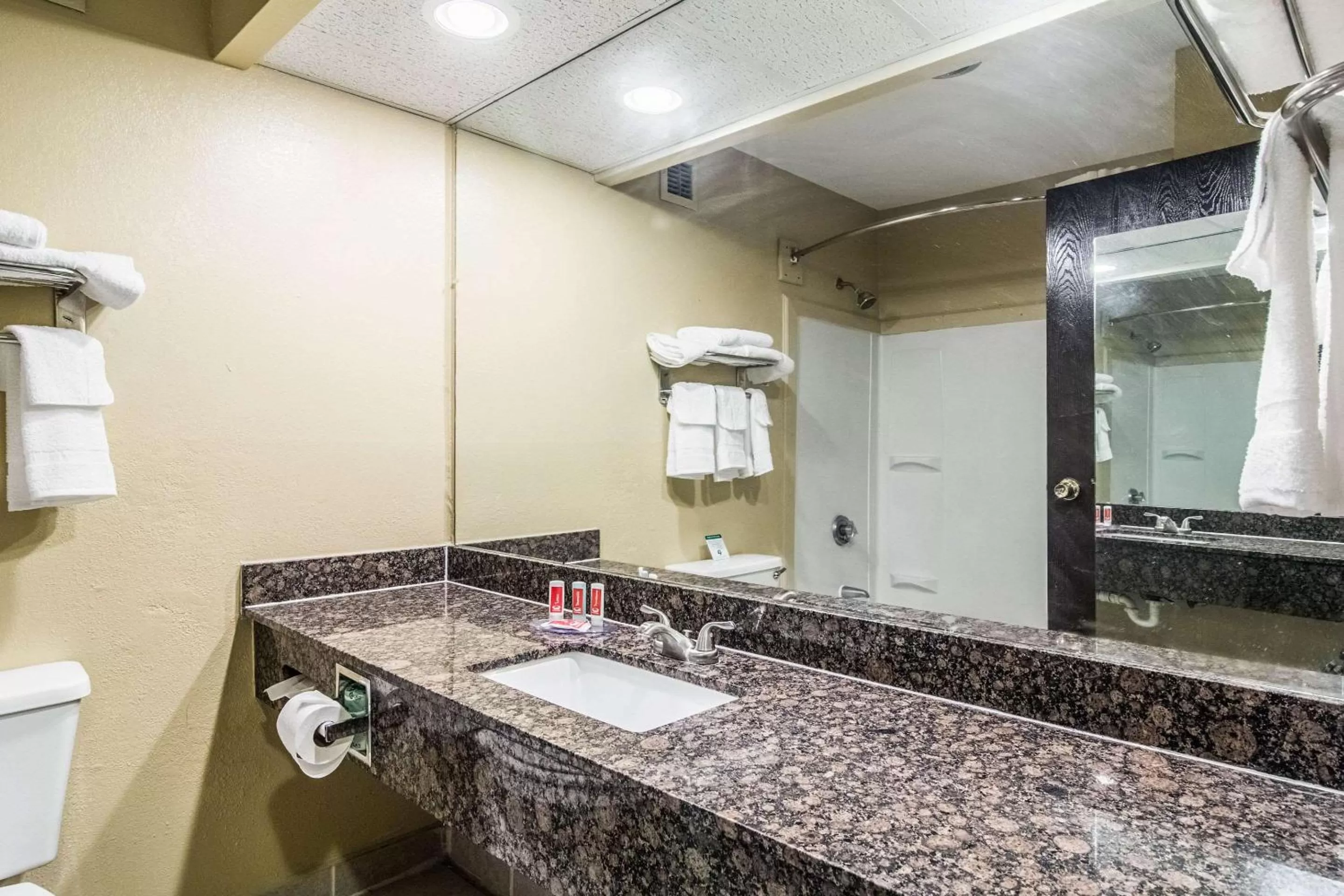 Bedroom in Econo Lodge Darien