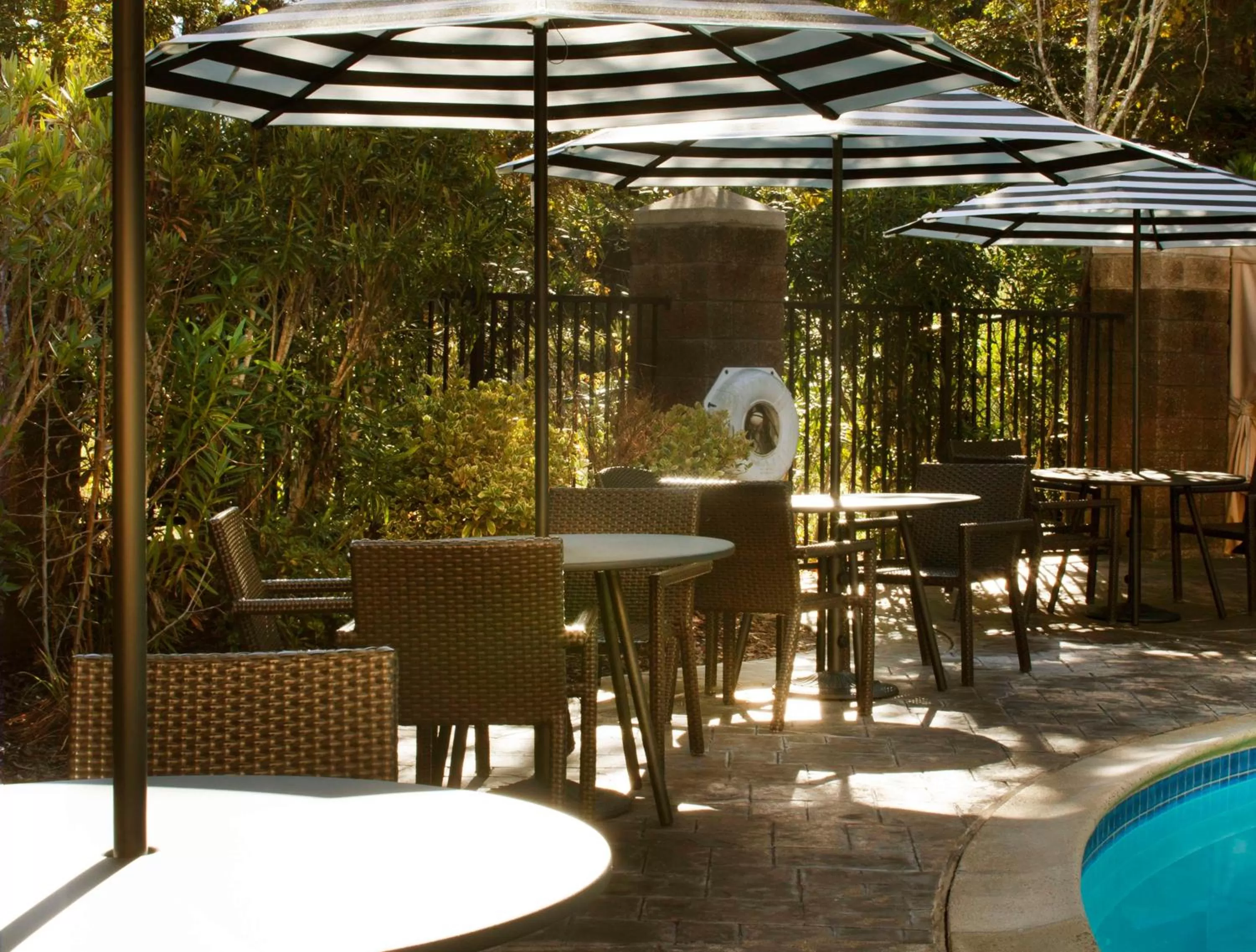 Pool view in Hilton Santa Cruz Scotts Valley