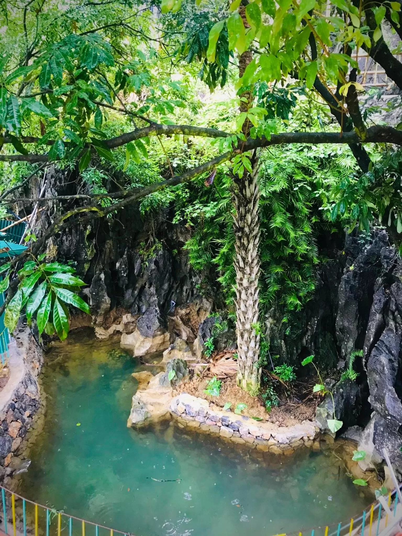 Natural landscape in Trang An Lamia Bungalow