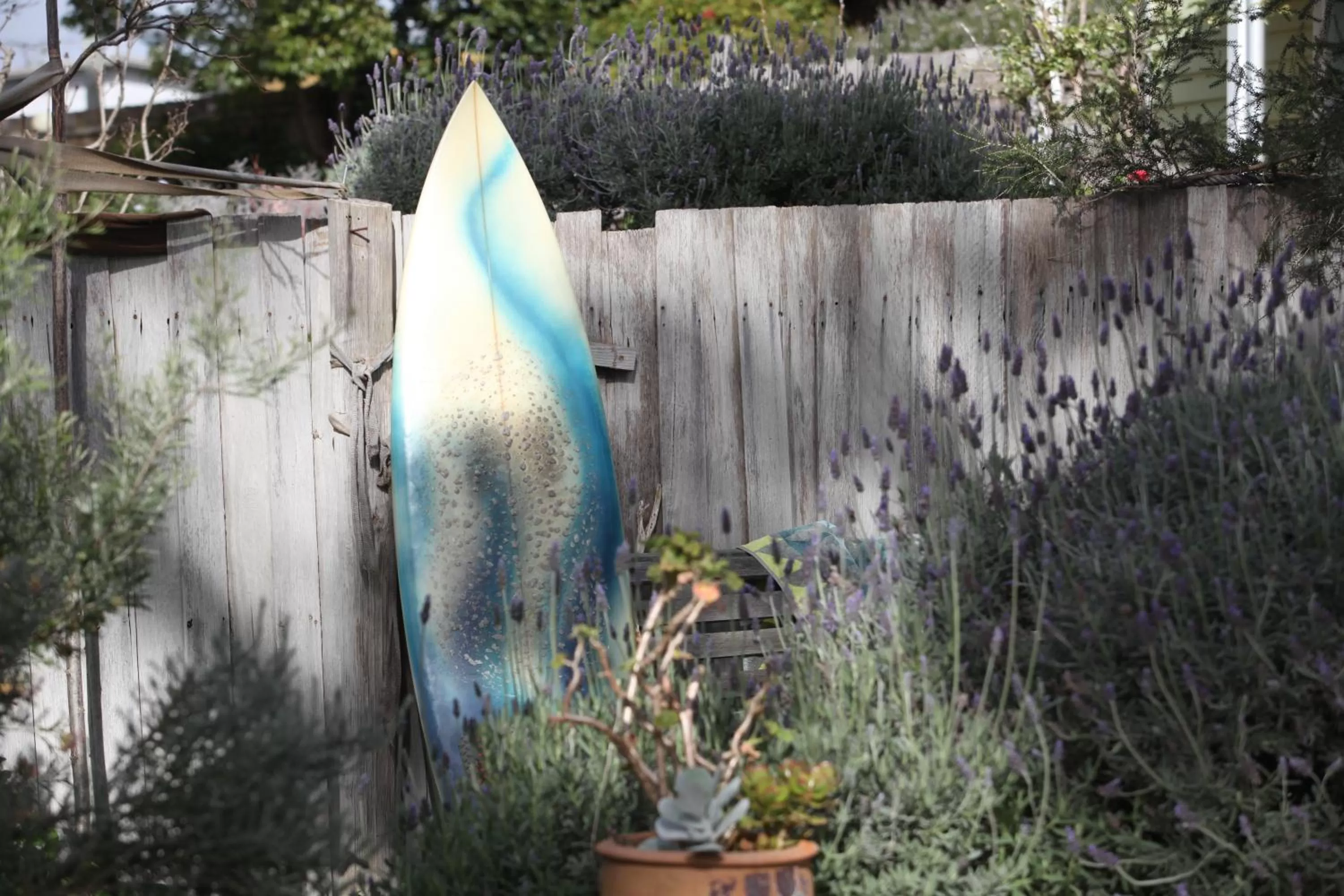 Garden in Sea Salt Bnb