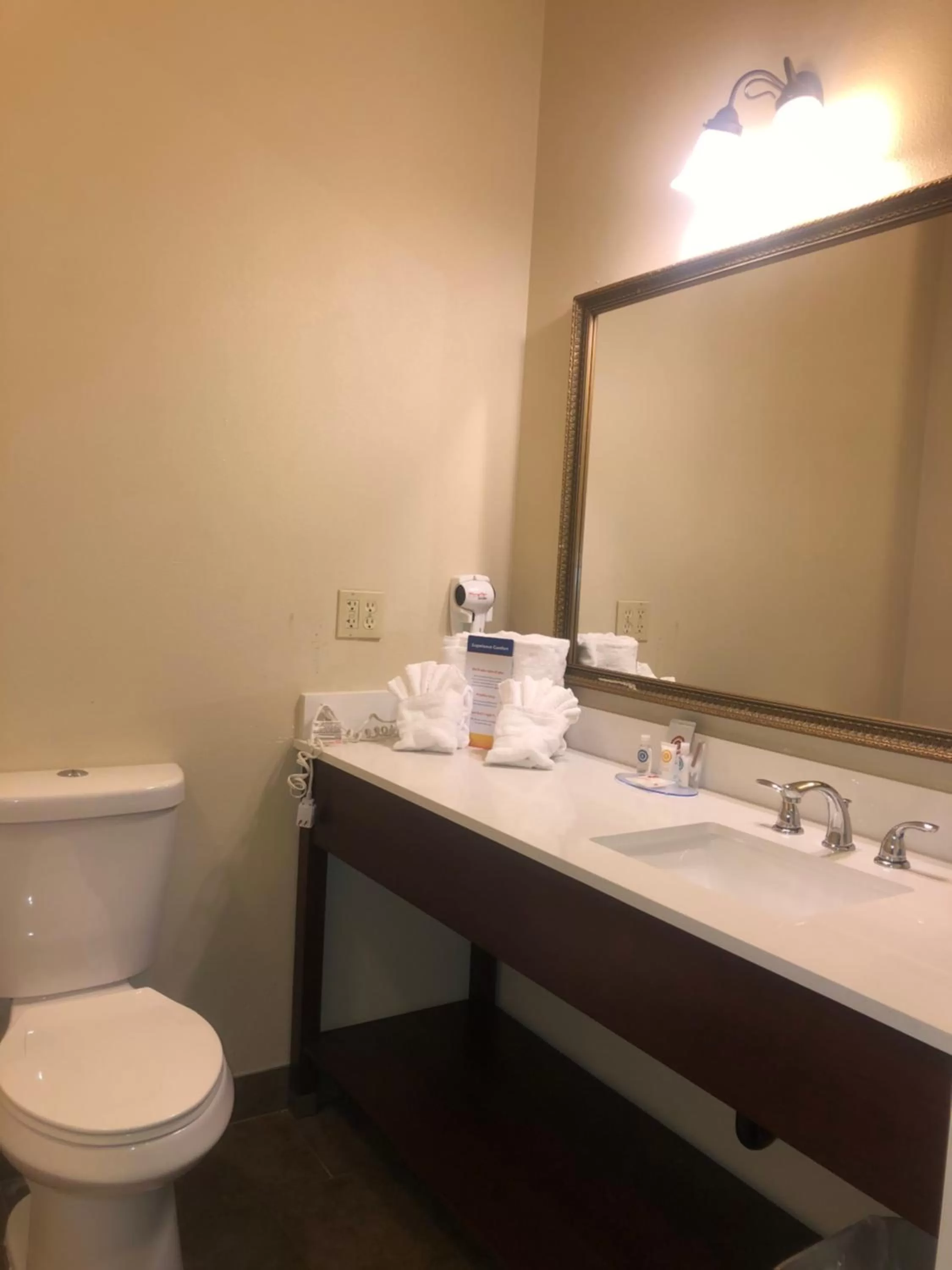 Toilet in Comfort Inn & Suites Ukiah Mendocino County