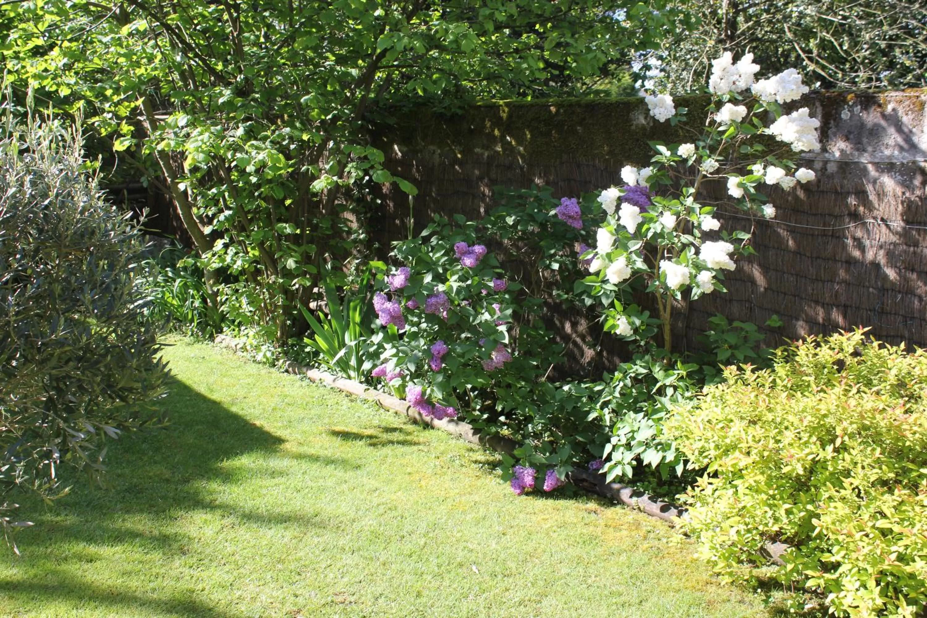 Garden in Hôtel Coeur De Loire