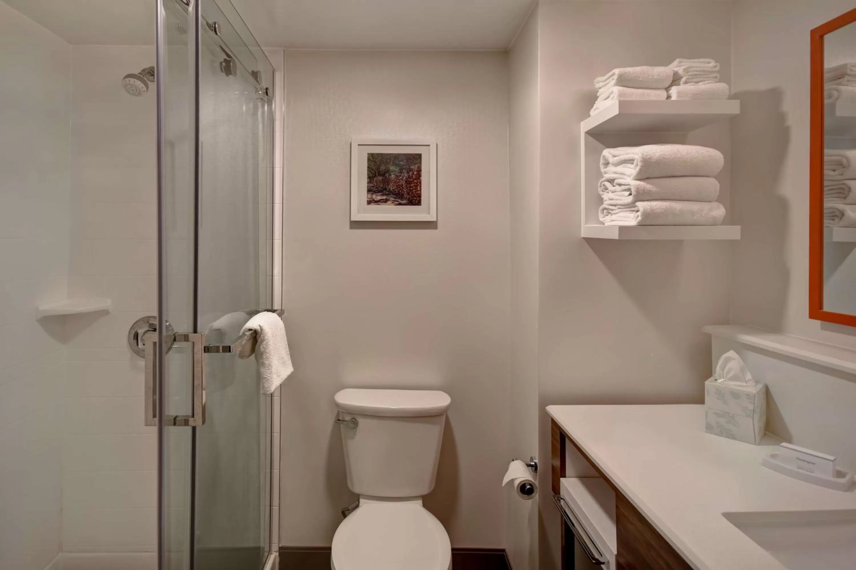 Bathroom in Hampton Inn Birmingham-Colonnade 280