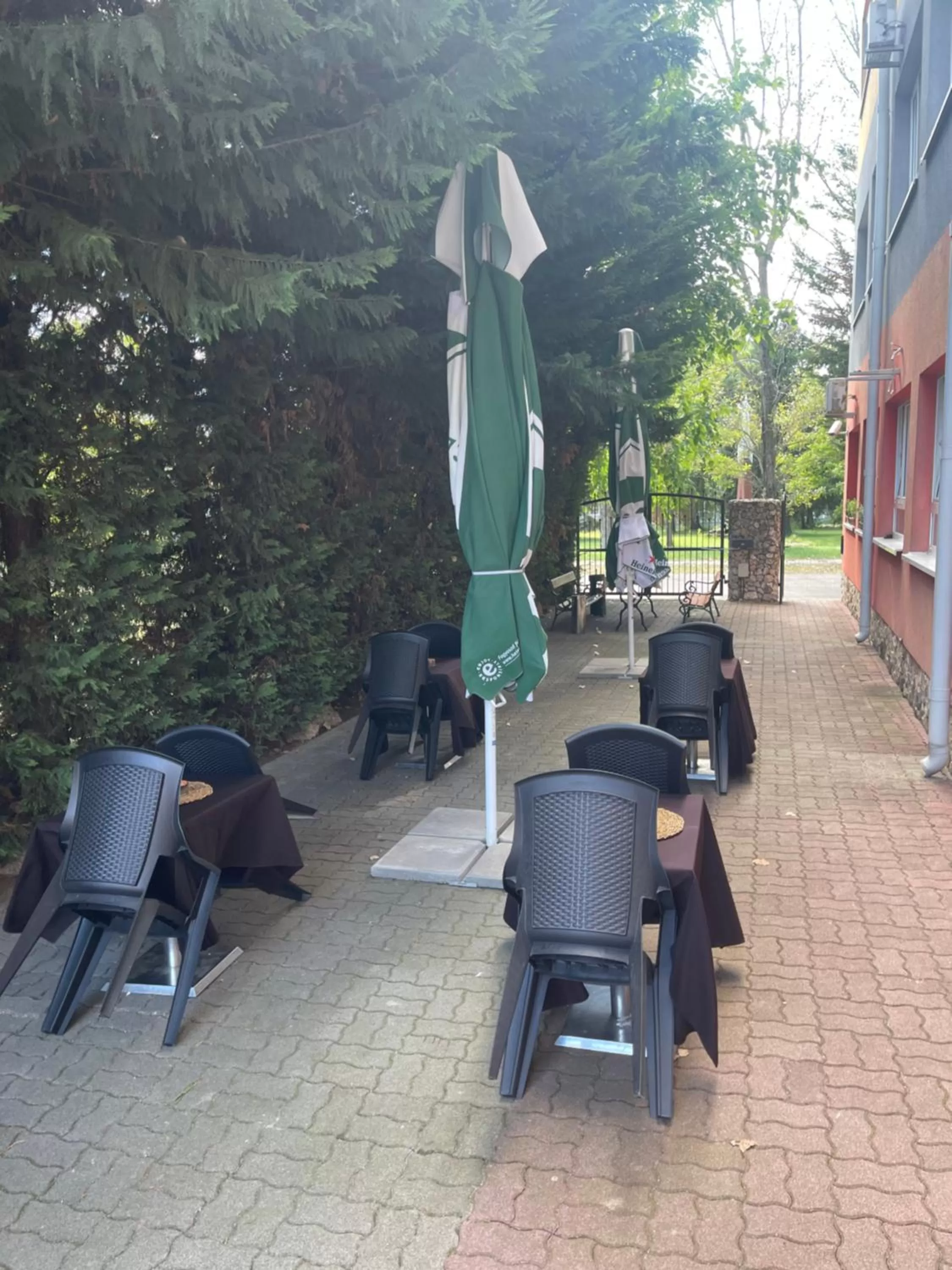 Restaurant/places to eat in Airport Szálló