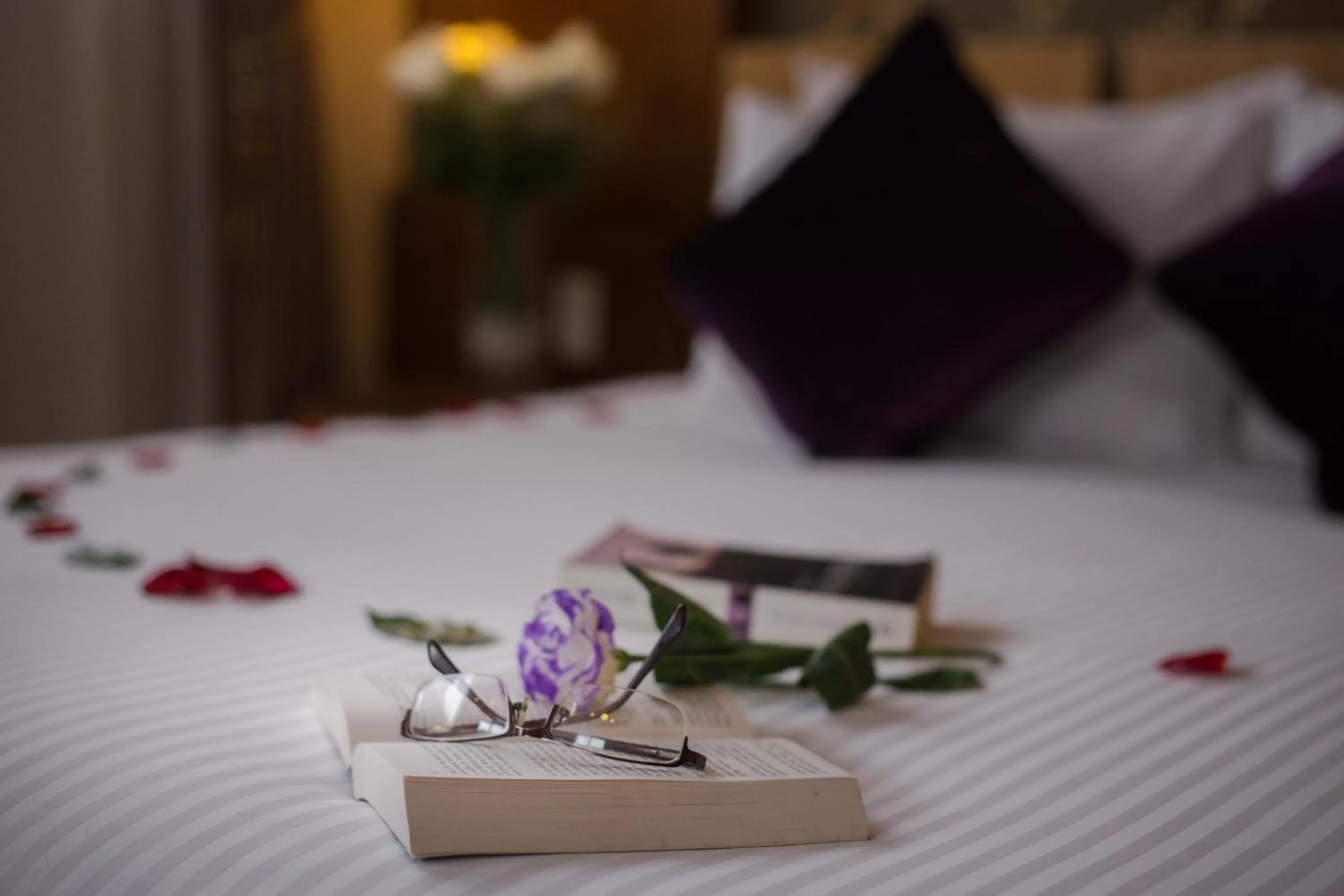 Spring, Bed in Eliana Ruby Hotel & Travel