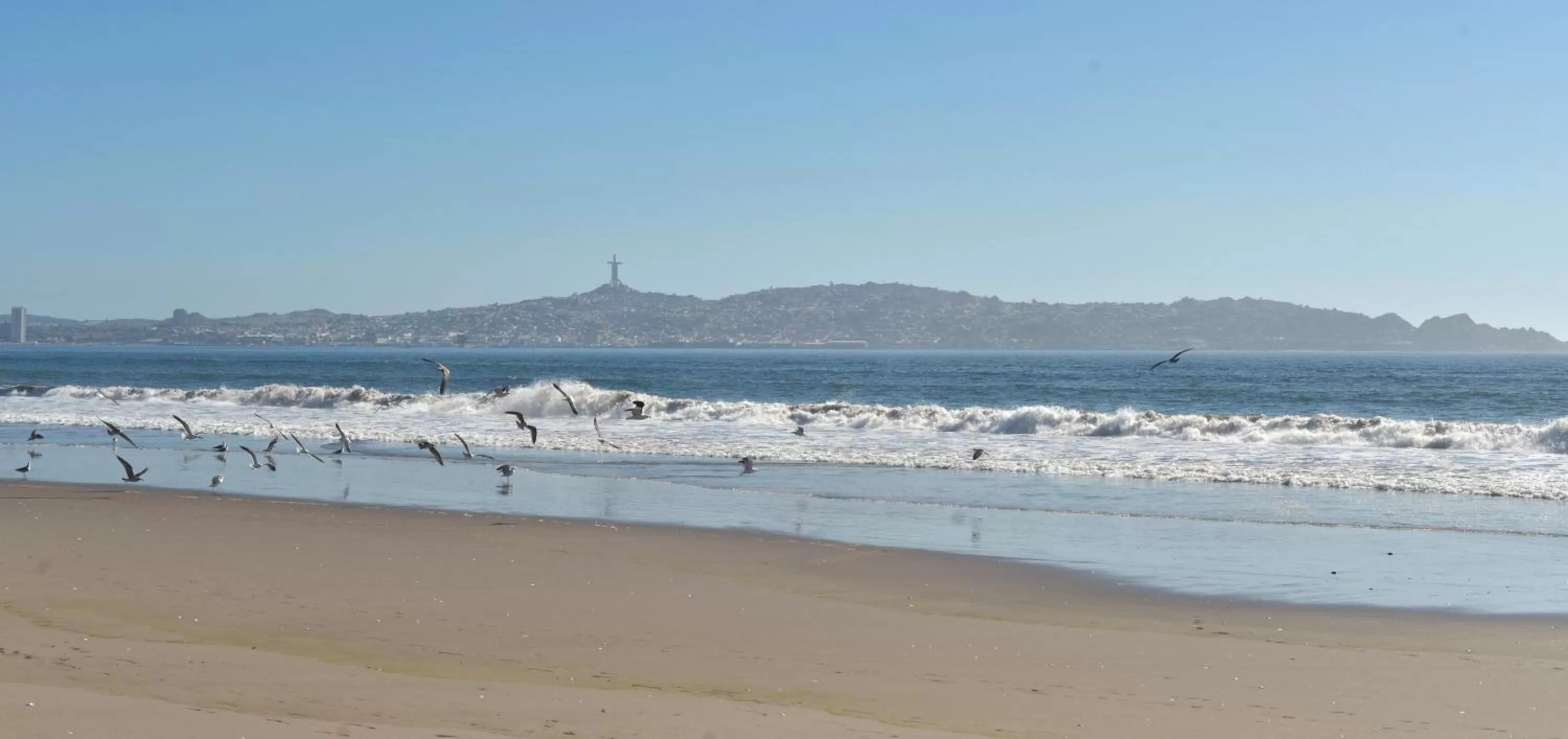 Natural landscape, Beach in Hotel La Fuente