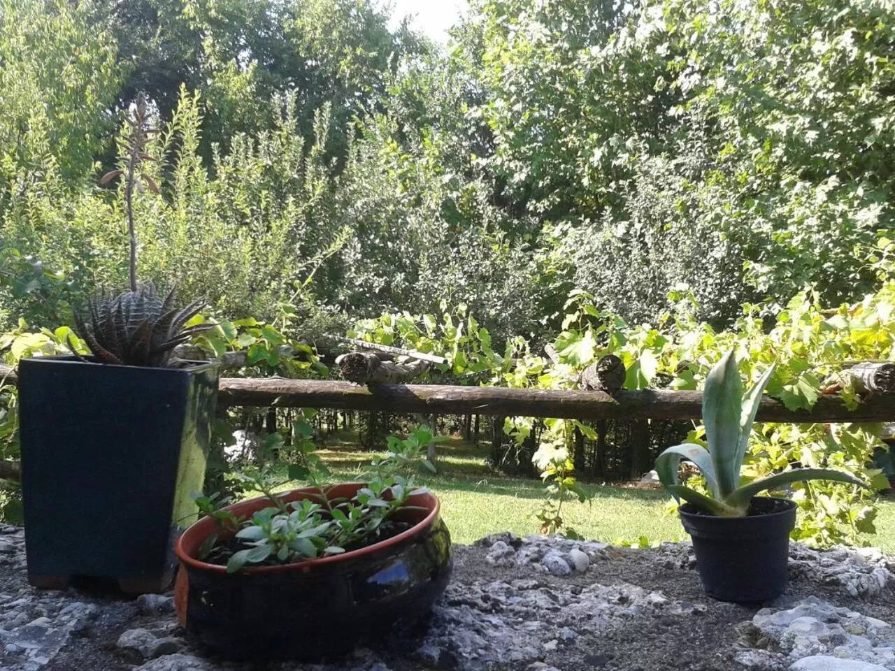 Garden in Il giuggiolo