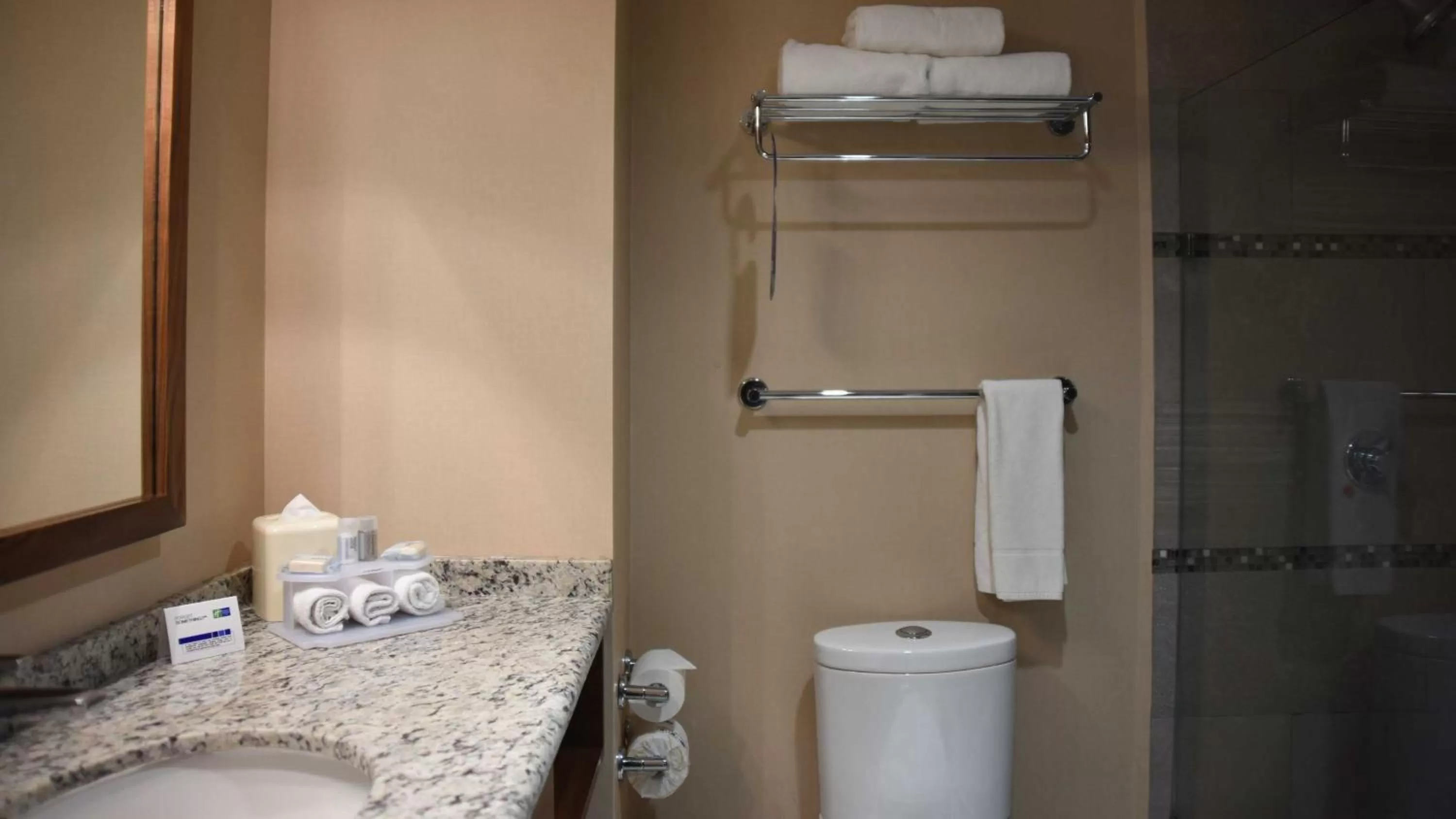 Toilet in Holiday Inn Express and Suites Celaya by IHG