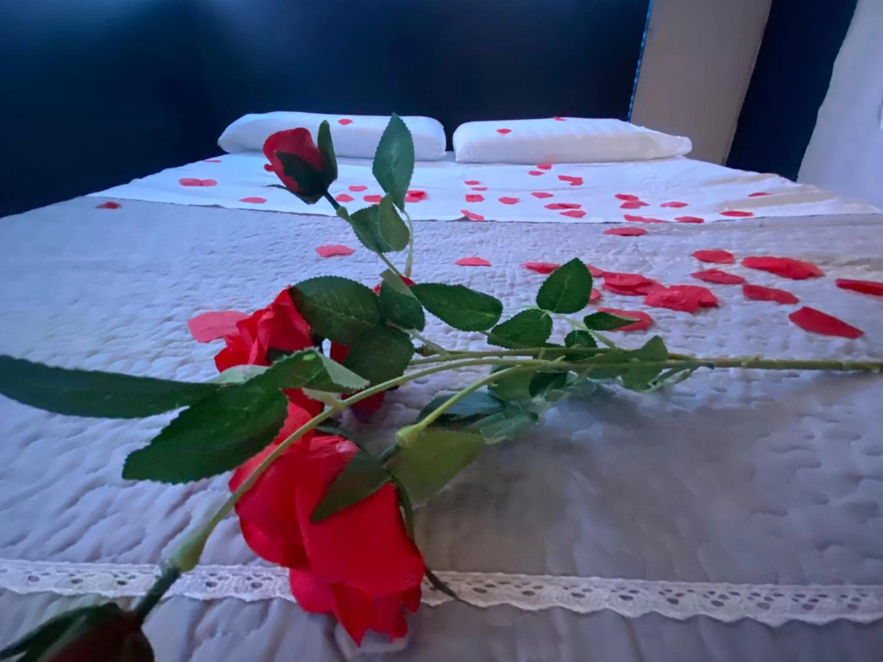 Photo of the whole room, Bed in Casa degli Orti, Dolomia best home