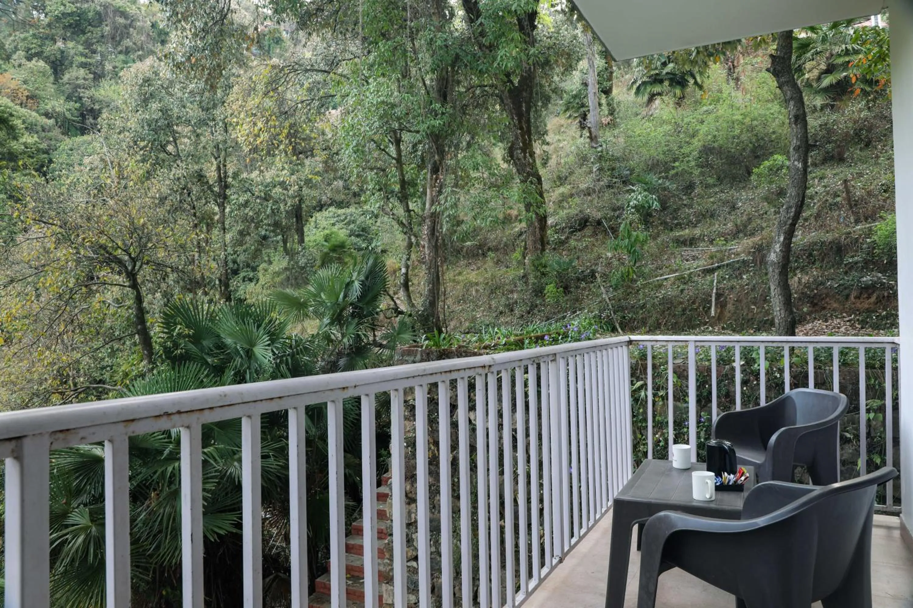 Patio in The Mountain Quail