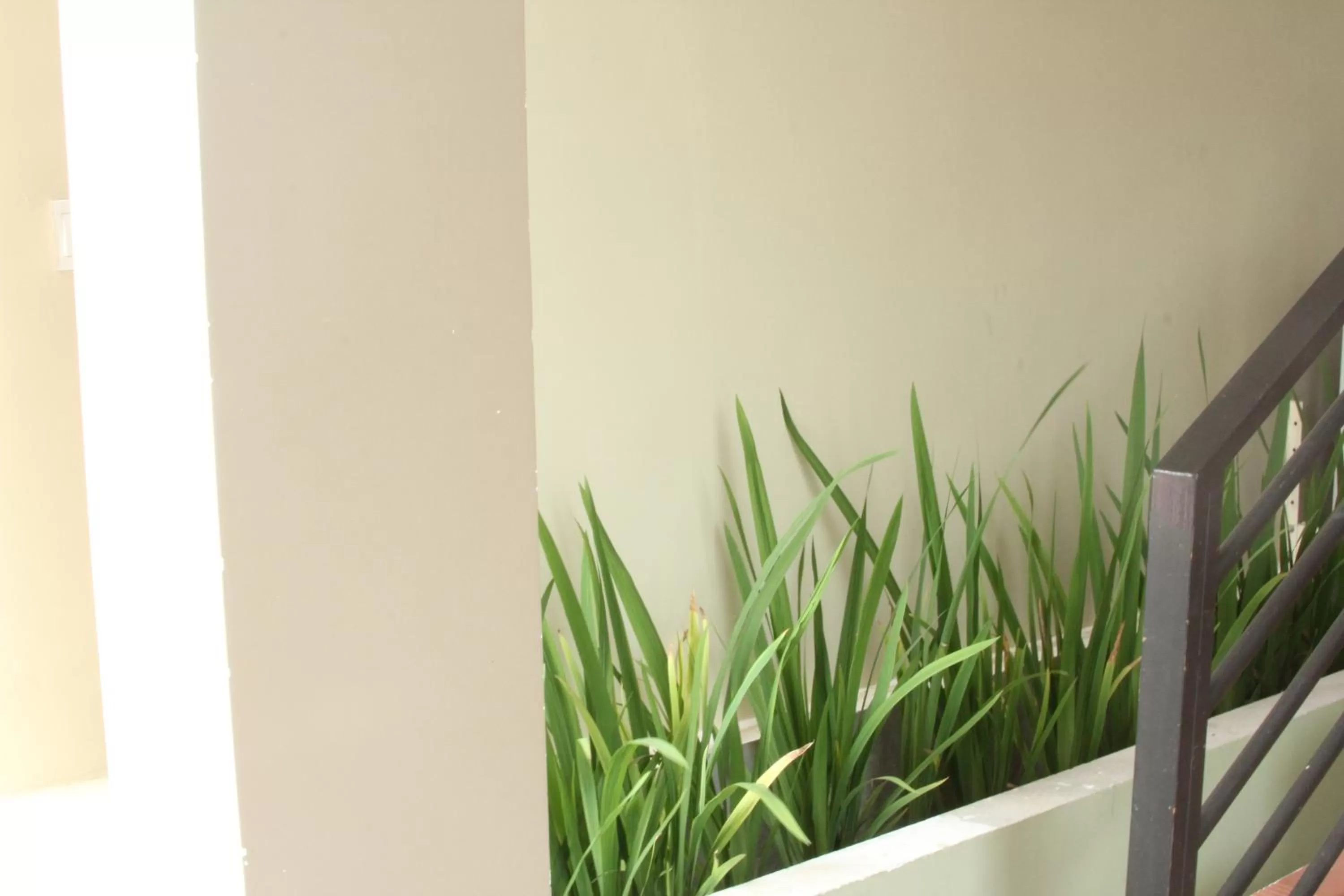 Garden in Neakru Guesthouse and Restaurant