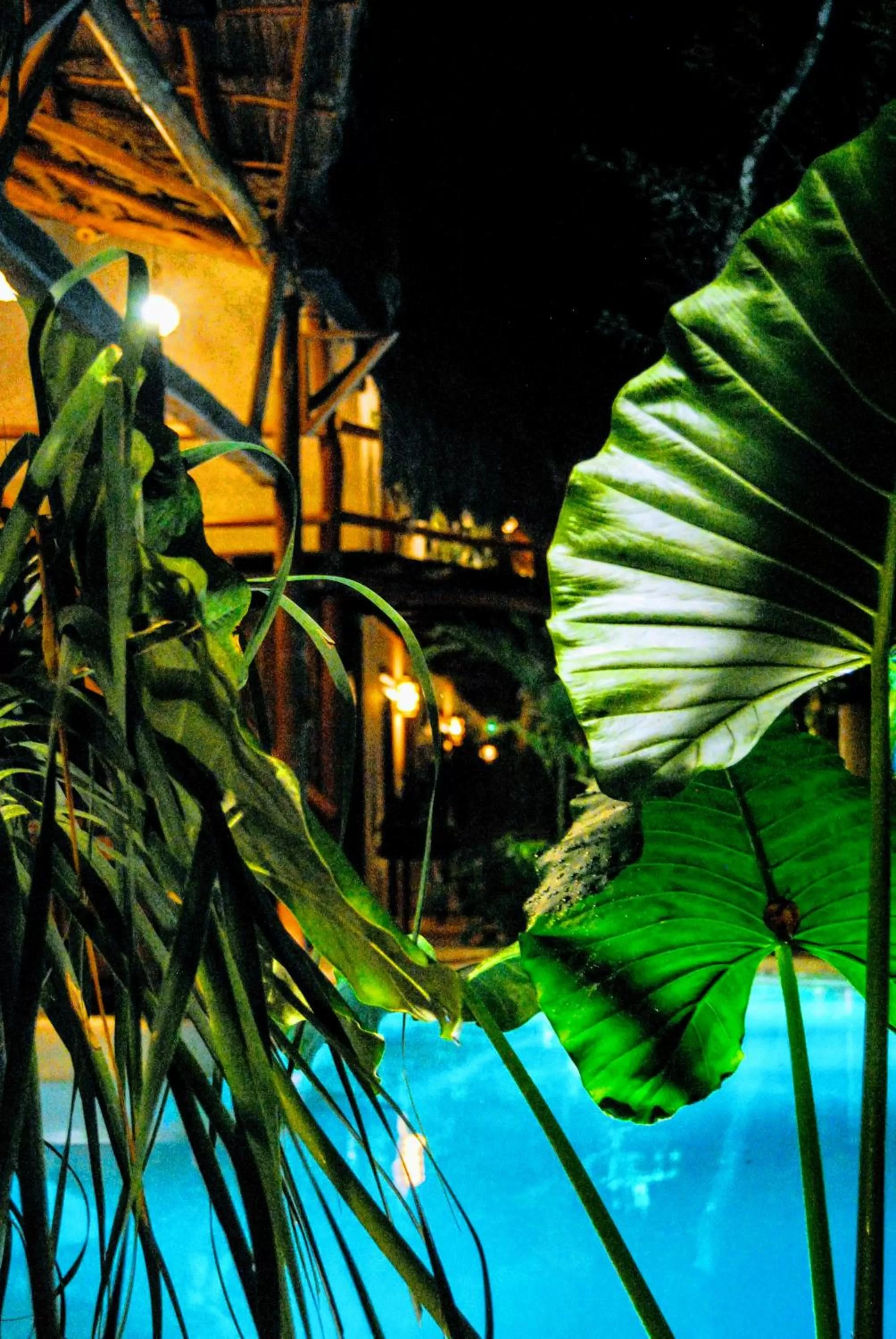 Pool view in Hotel Boutique TerraNova