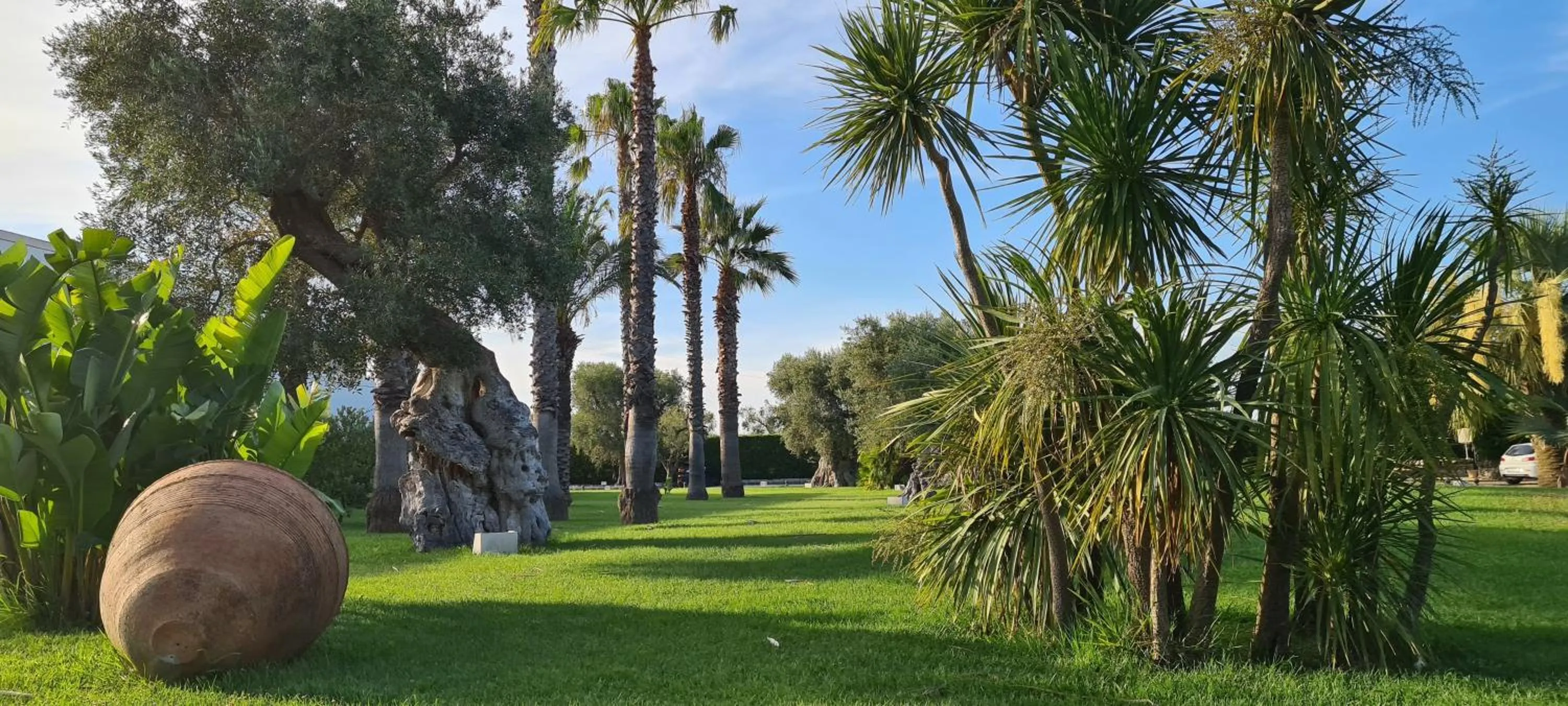 Spring in Tenuta Moreno
