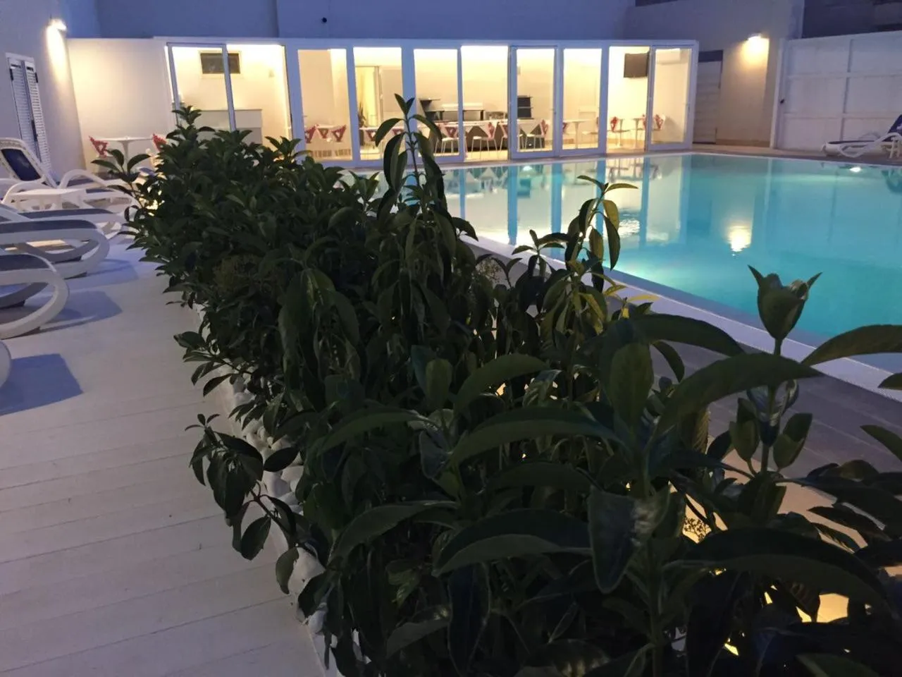 Pool view in Hotel Miramare