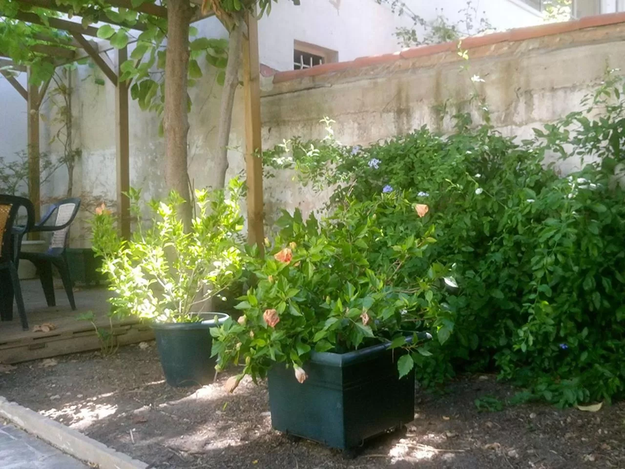 Garden in Le Clos Chez Michel